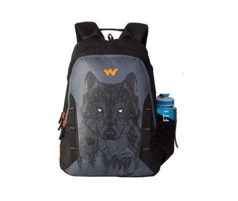 Skybags School Bag