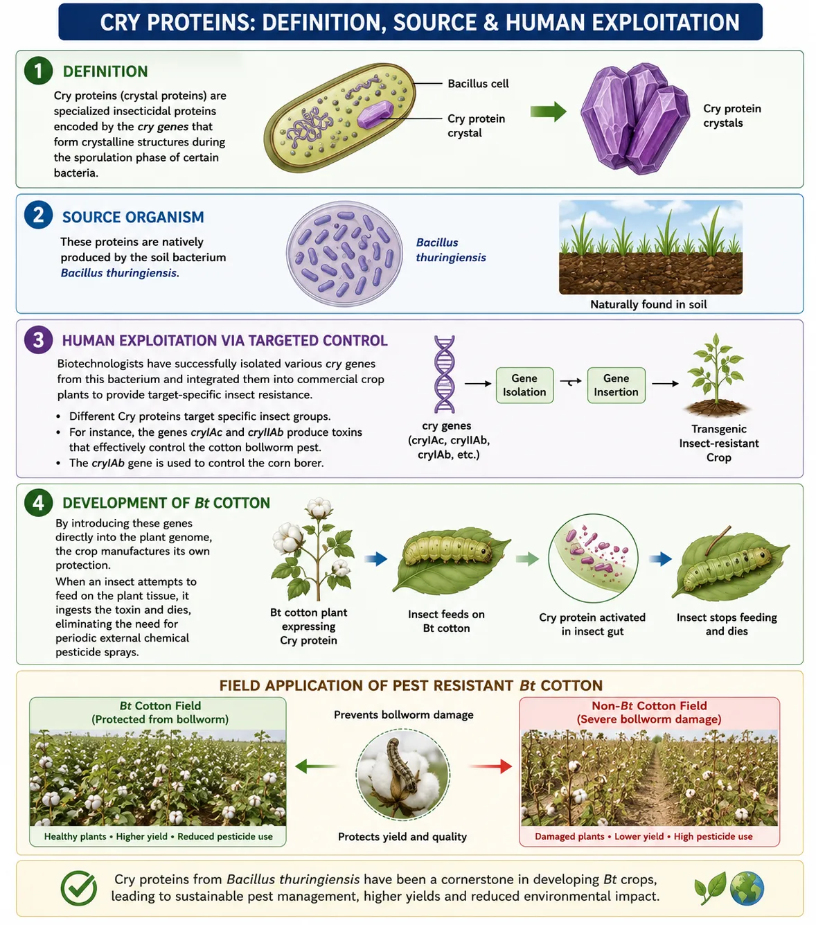 Field Application of Pest Resistant Bt Cotton