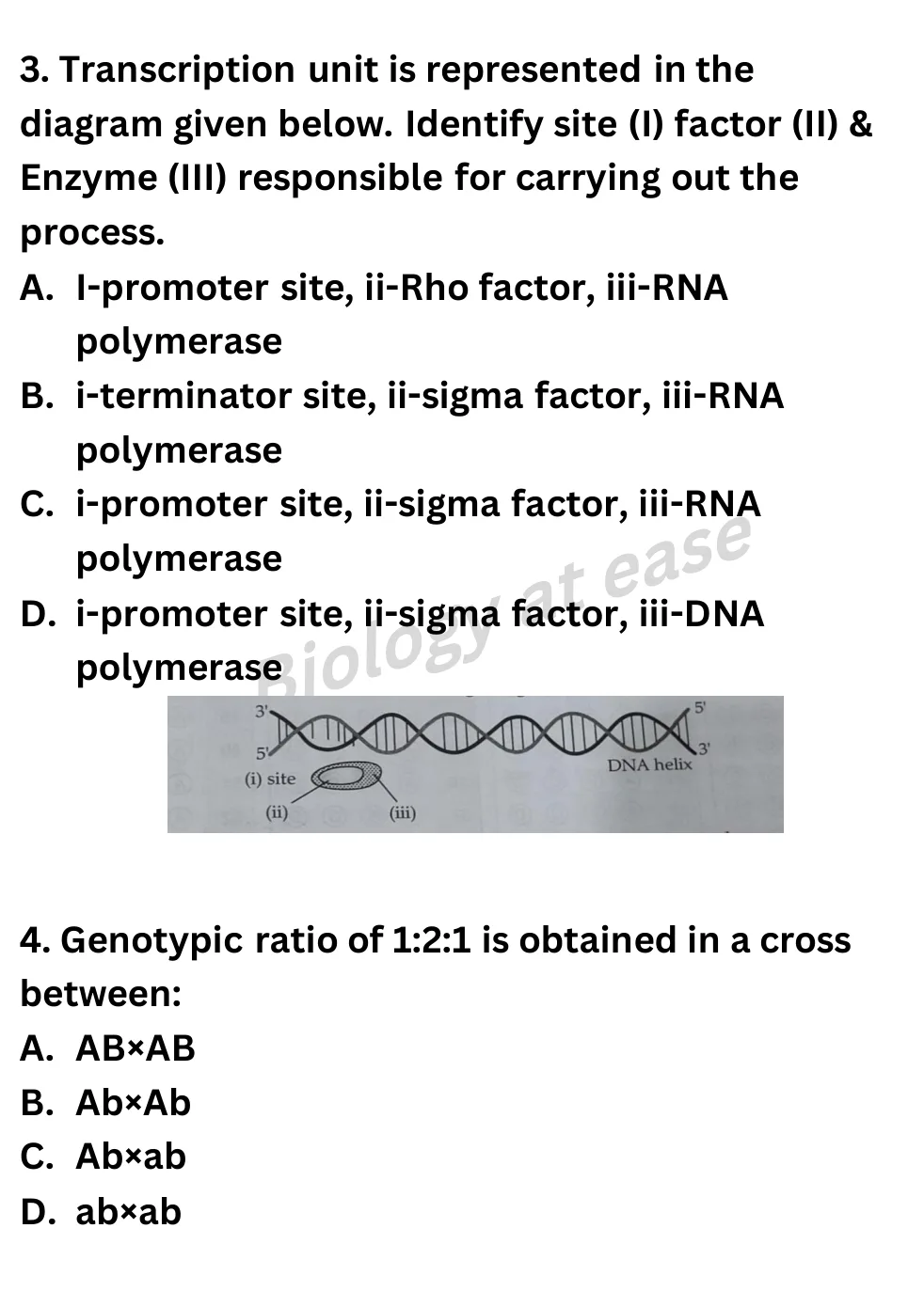 NEET Biology 100 Questions Full Mock 3 question sheet image 2