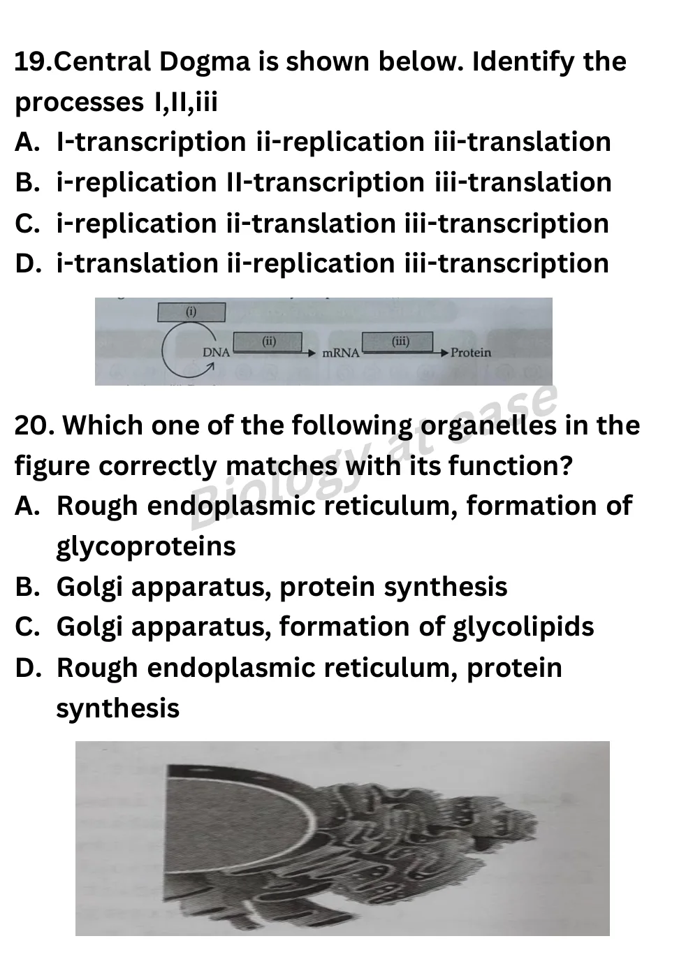 NEET Biology 100 Questions Full Mock 3 question sheet image 8