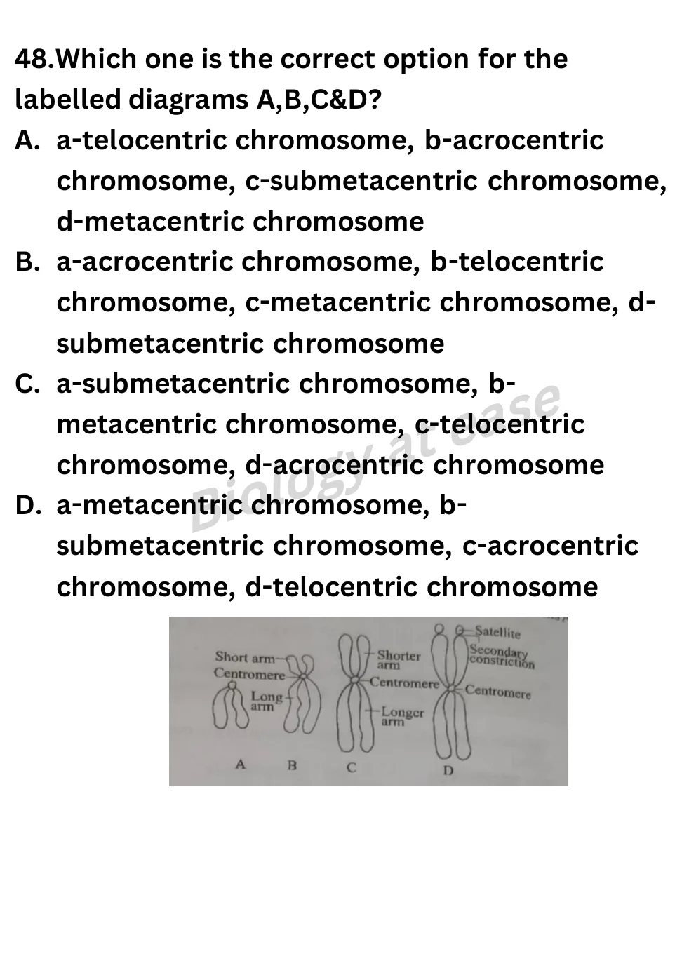 NEET Biology 100 Questions Full Mock 3 question sheet image 19