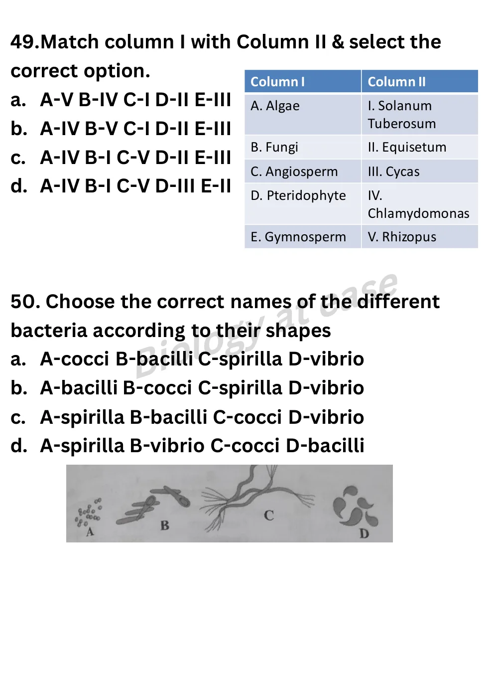 NEET Biology 100 Questions Full Mock 3 question sheet image 20