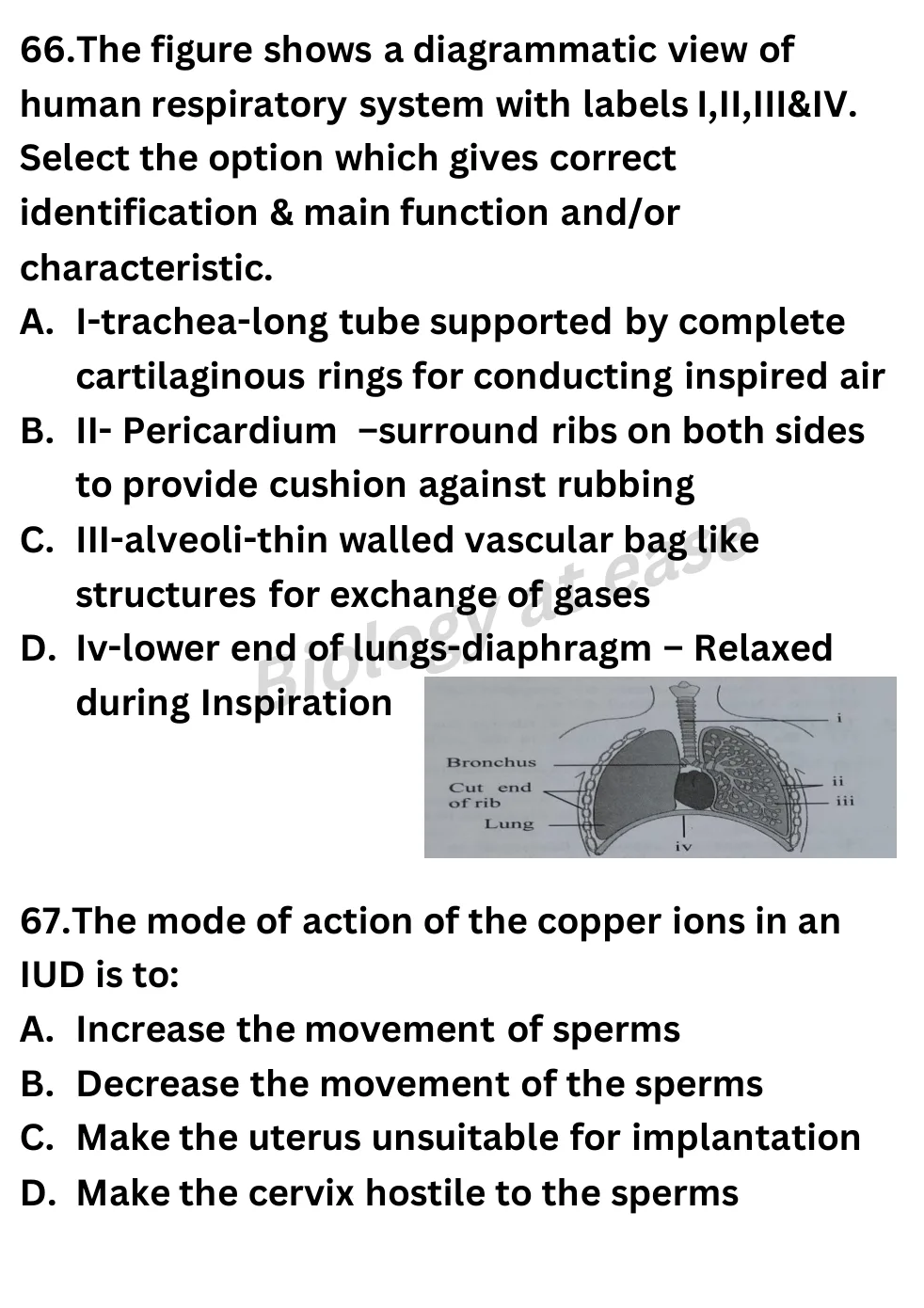 NEET Biology 100 Questions Full Mock 3 question sheet image 27