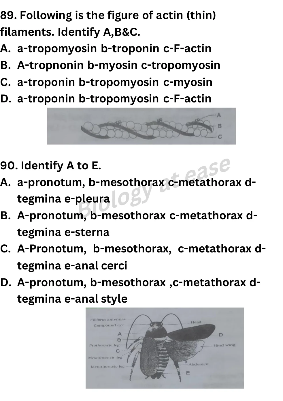 NEET Biology 100 Questions Full Mock 3 question sheet image 36