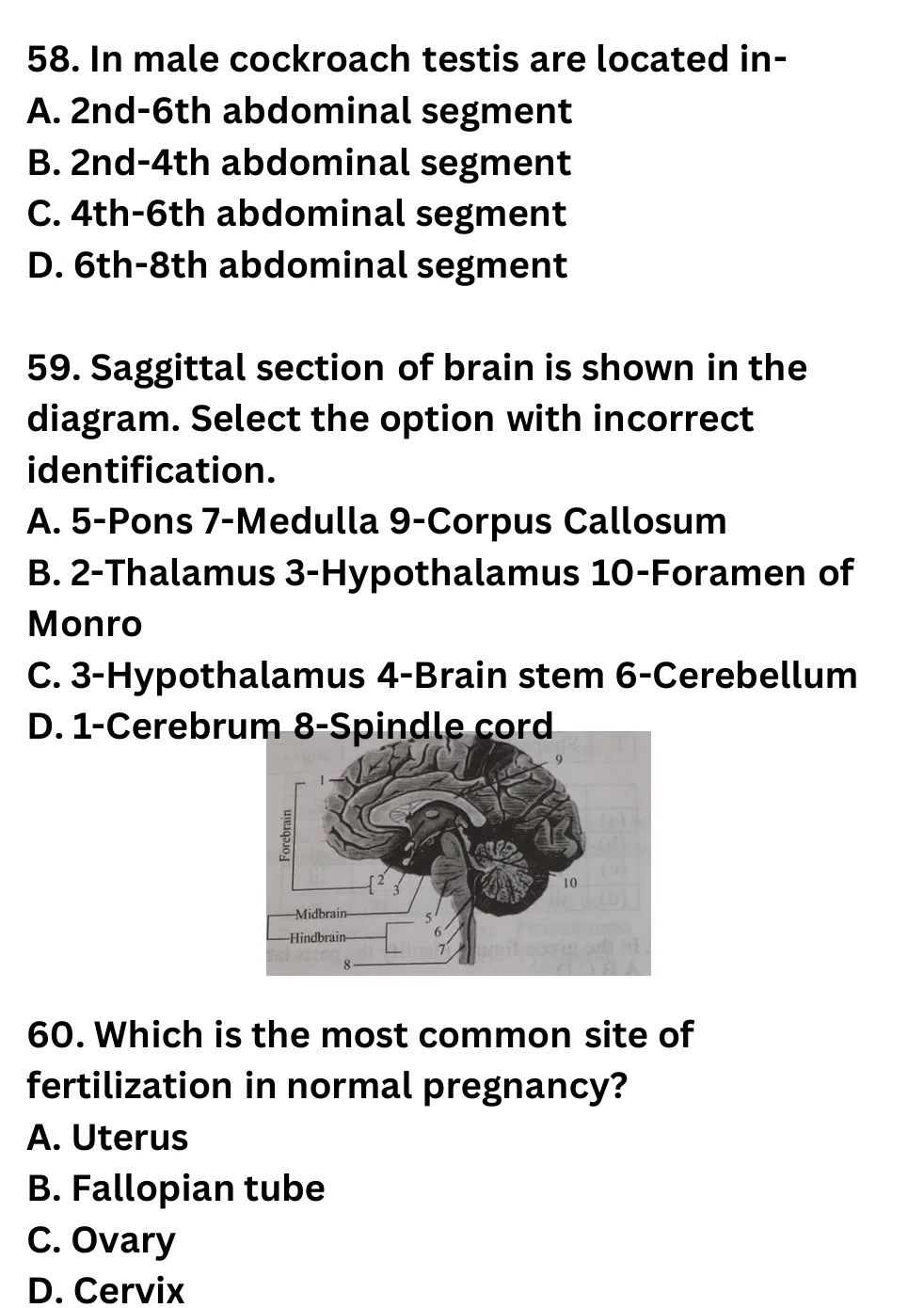 NEET Biology 100 Questions Mock 1 question sheet image 22