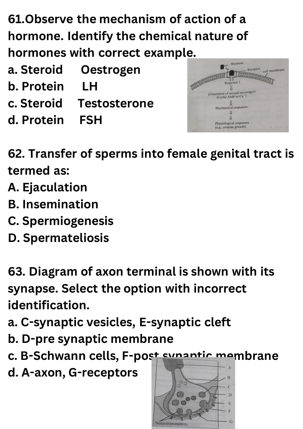 NEET Biology 100 Questions Mock 1 question sheet image 23