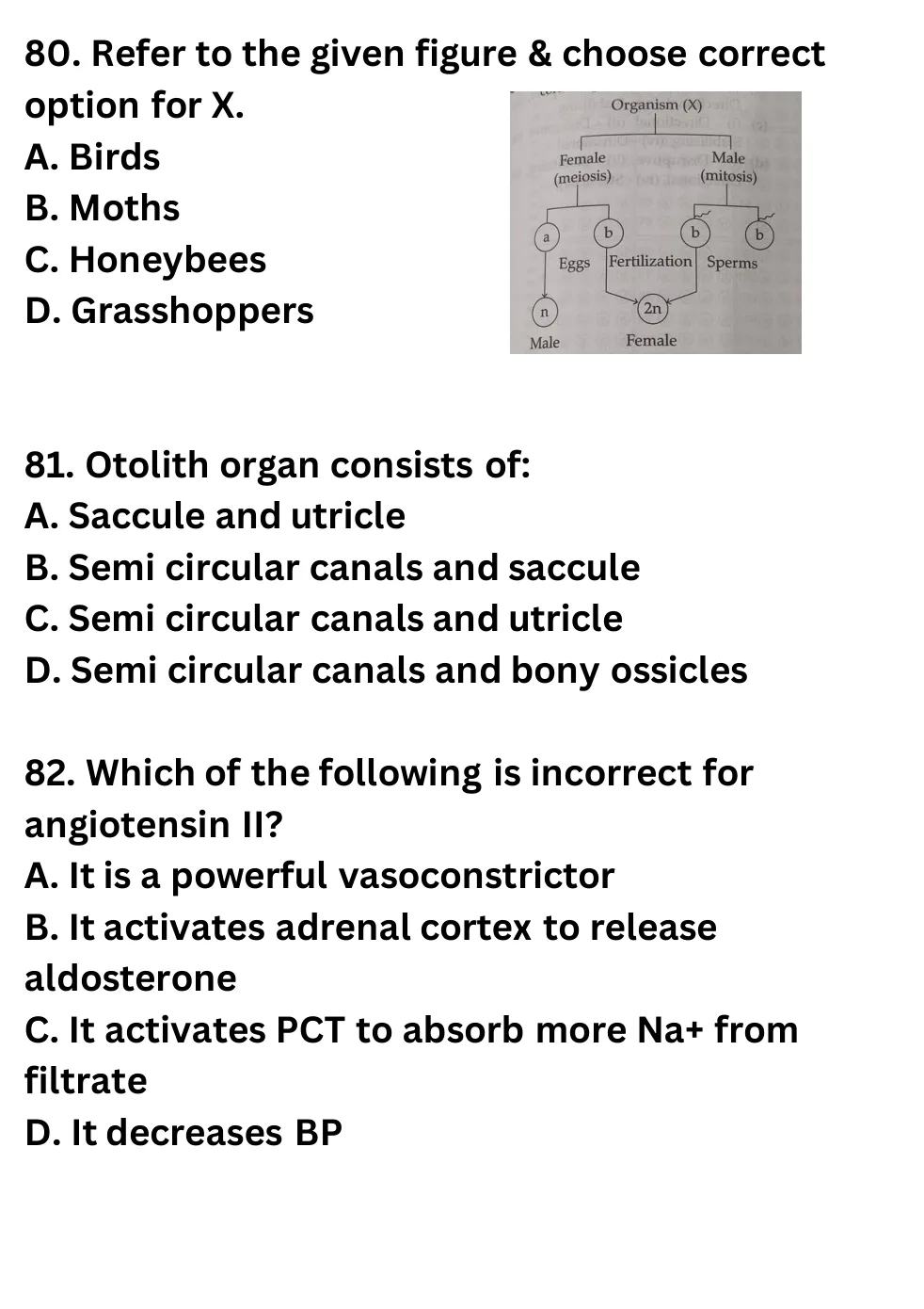 NEET Biology 100 Questions Mock 1 question sheet image 30