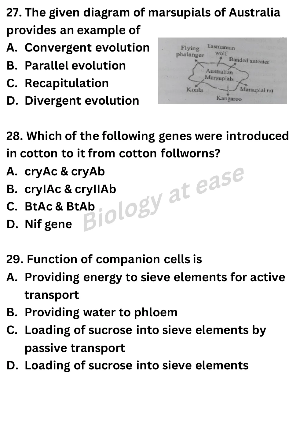 NEET Biology 70 Questions Full Mock question sheet image 11