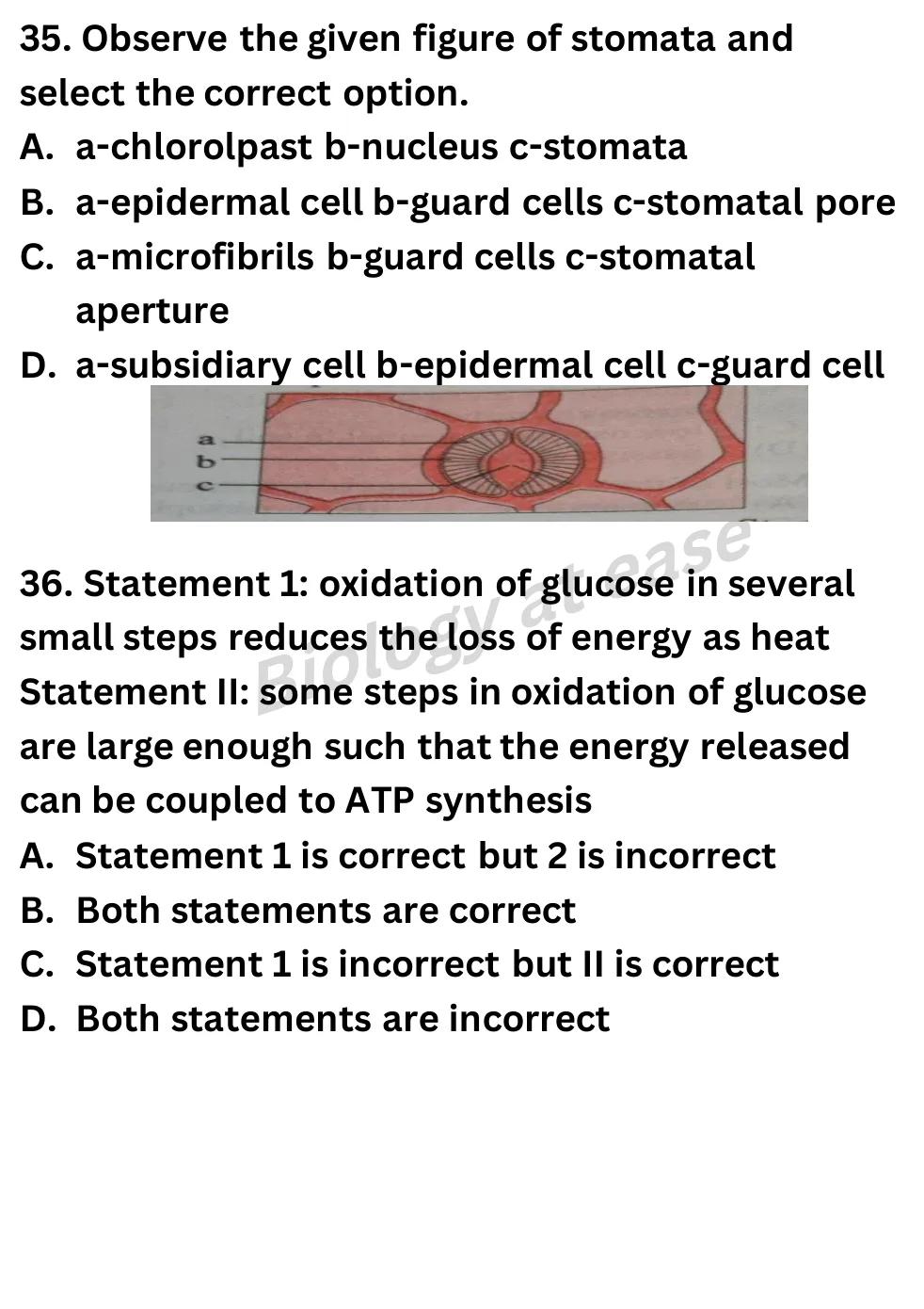 NEET Biology 70 Questions Full Mock question sheet image 14