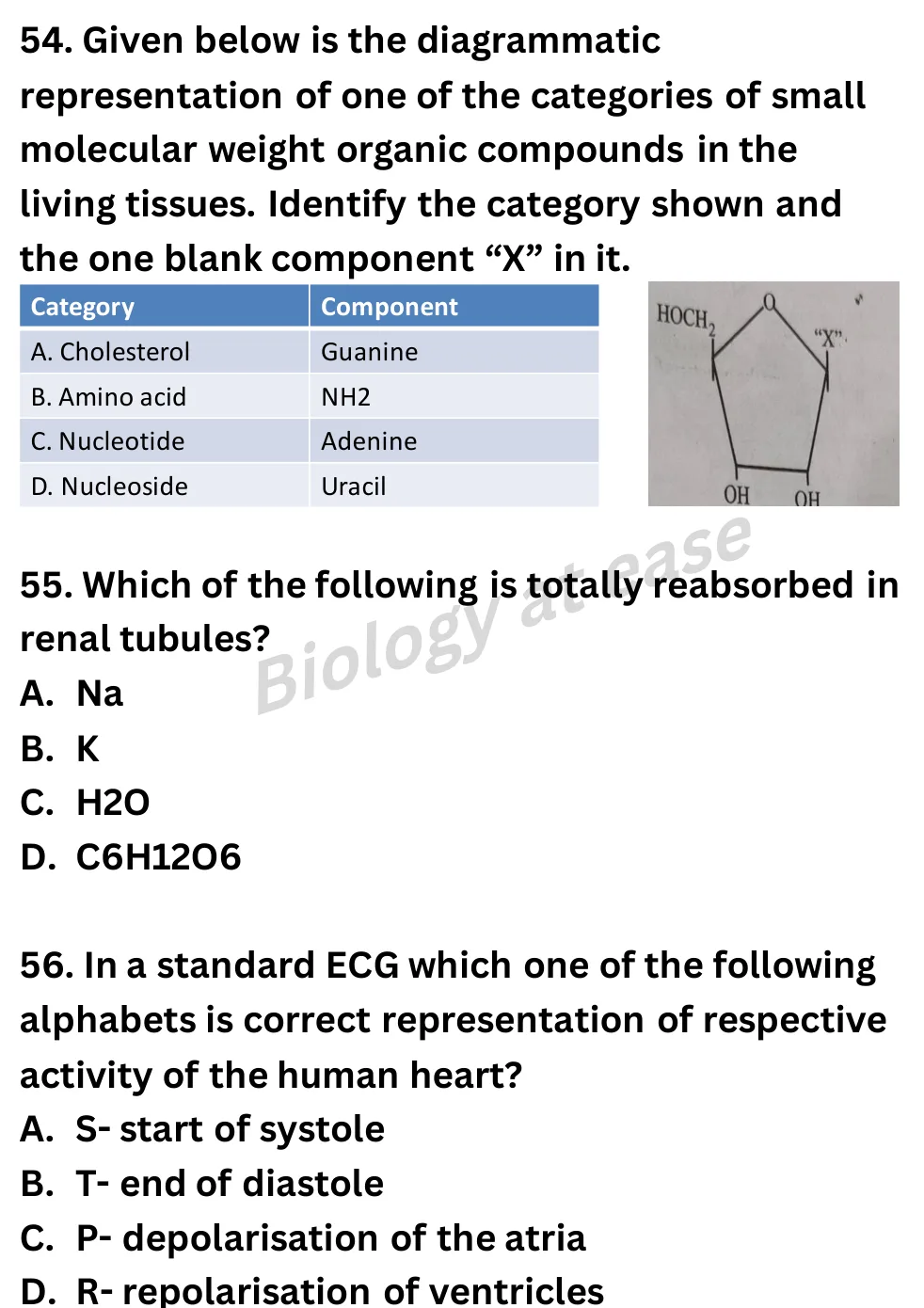NEET Biology 70 Questions Full Mock question sheet image 22