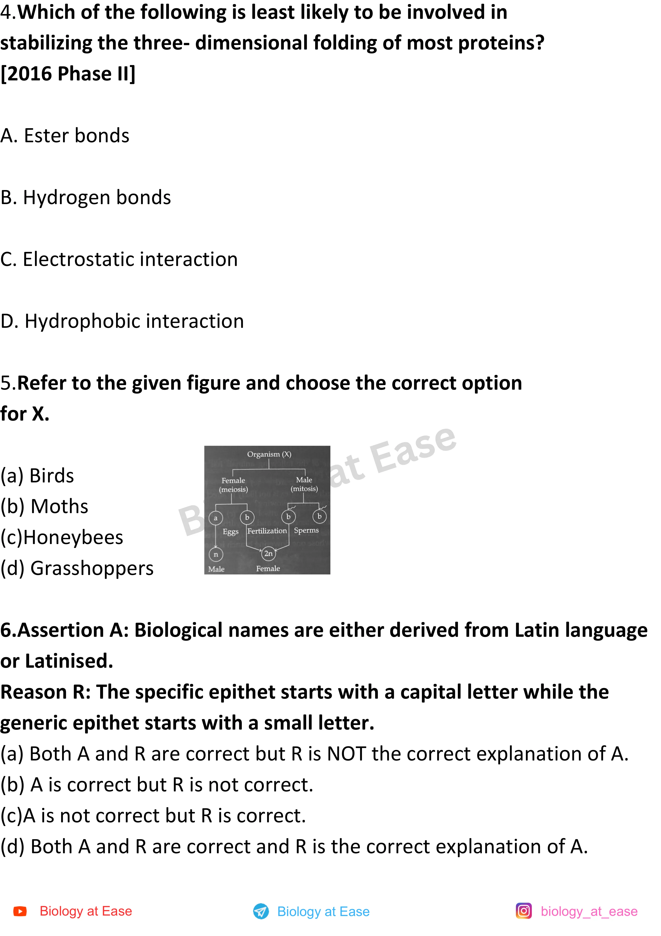 NEET Biology Full Mock 1 question sheet image 2