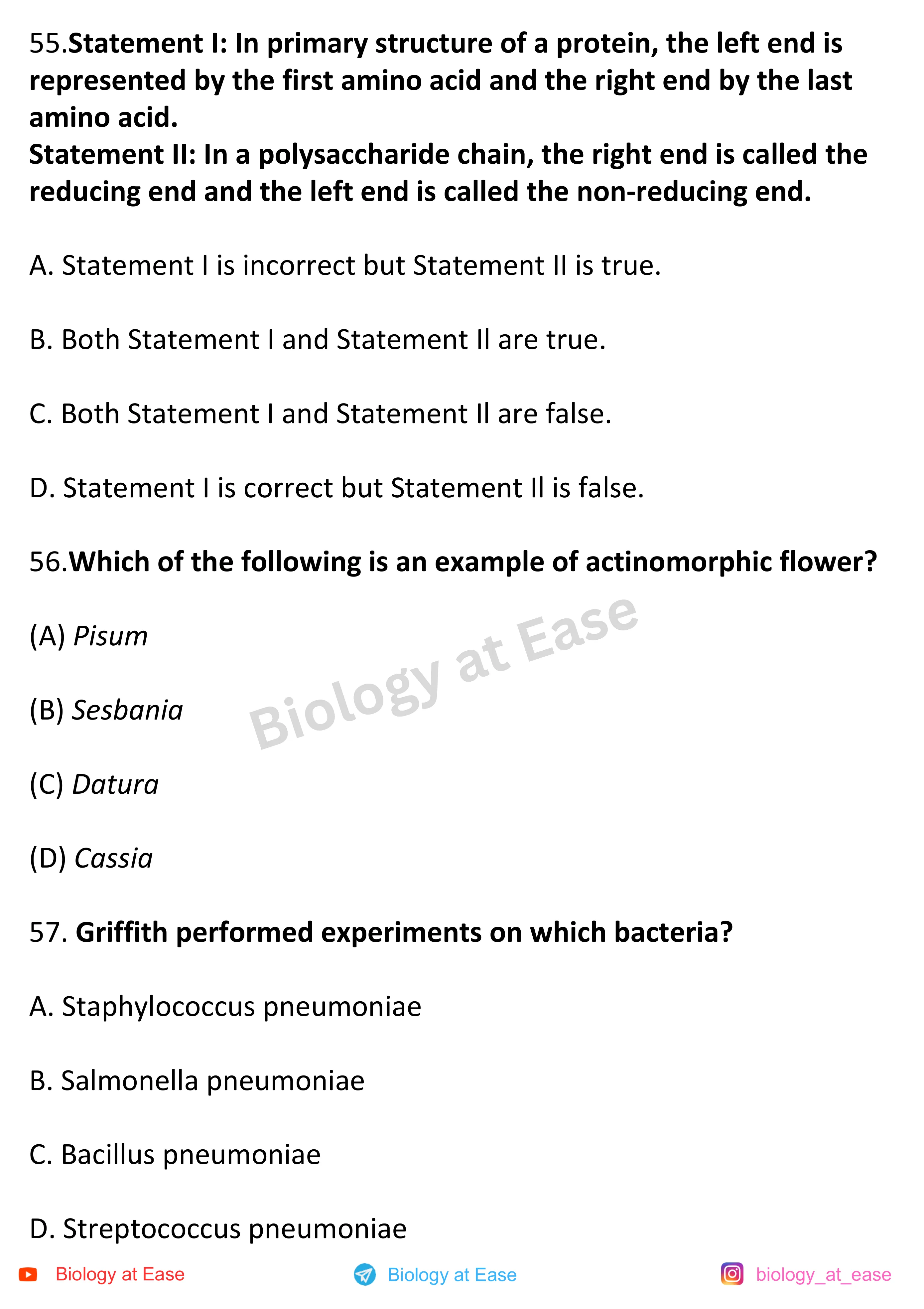 NEET Biology Full Mock 1 question sheet image 19