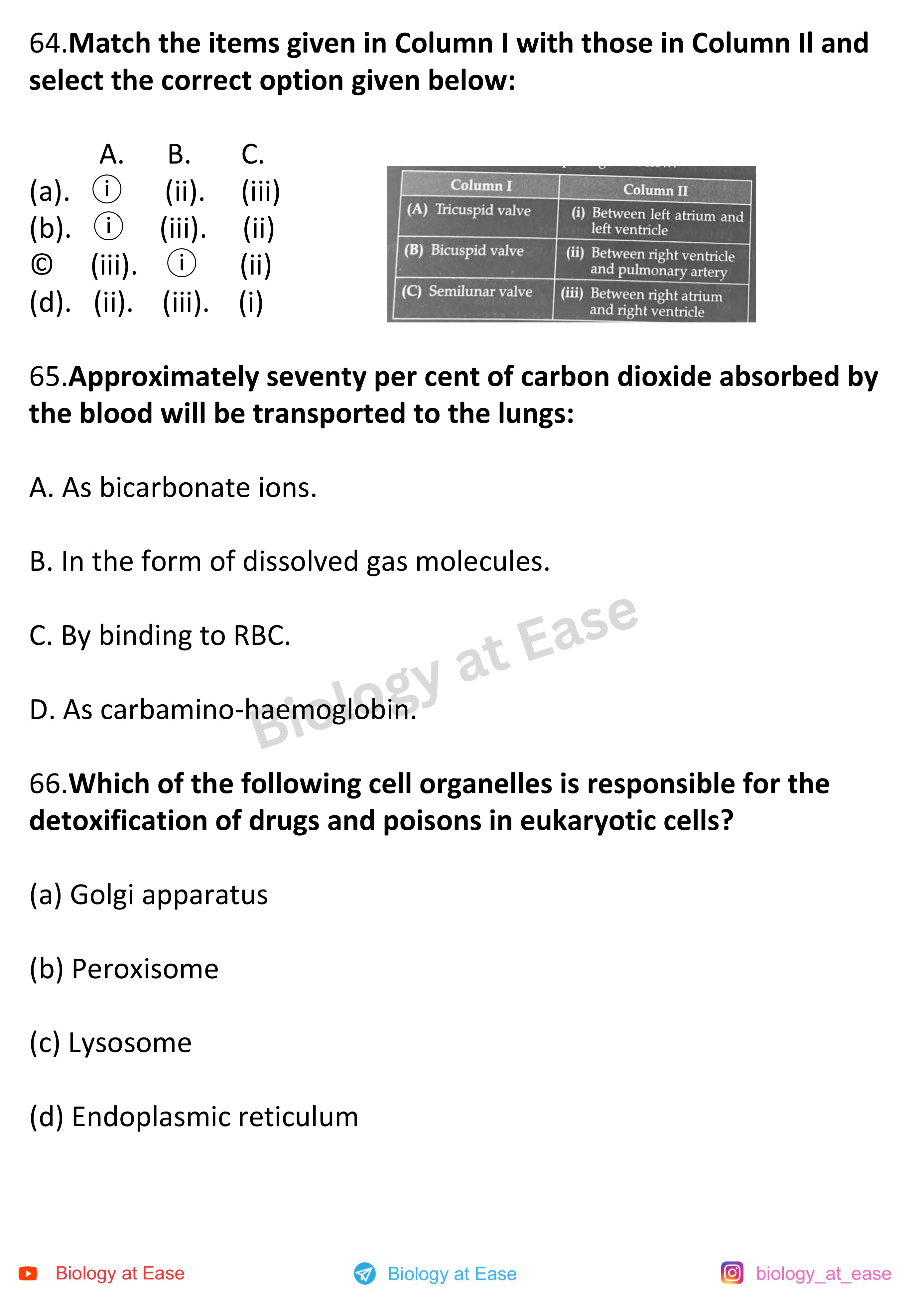 NEET Biology Full Mock 1 question sheet image 22
