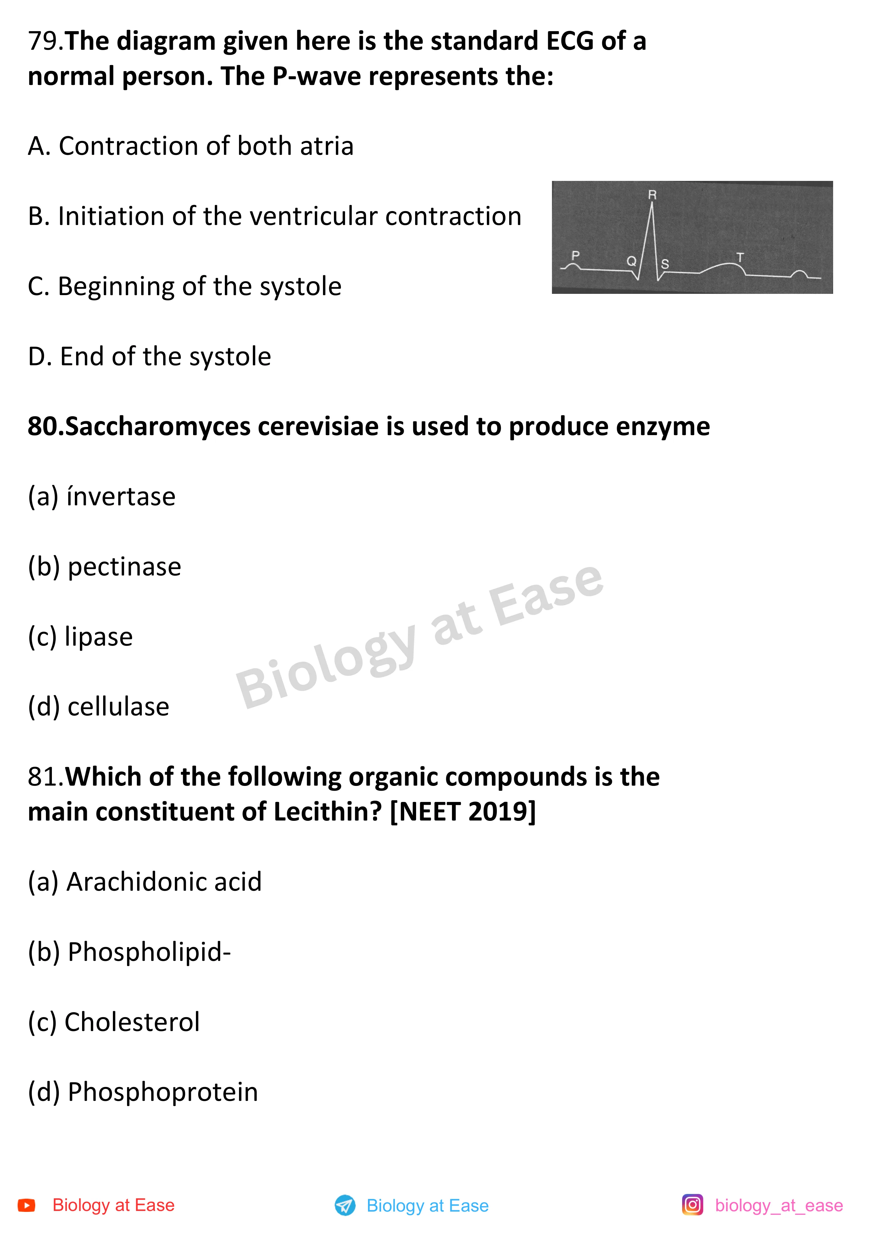 NEET Biology Full Mock 1 question sheet image 27