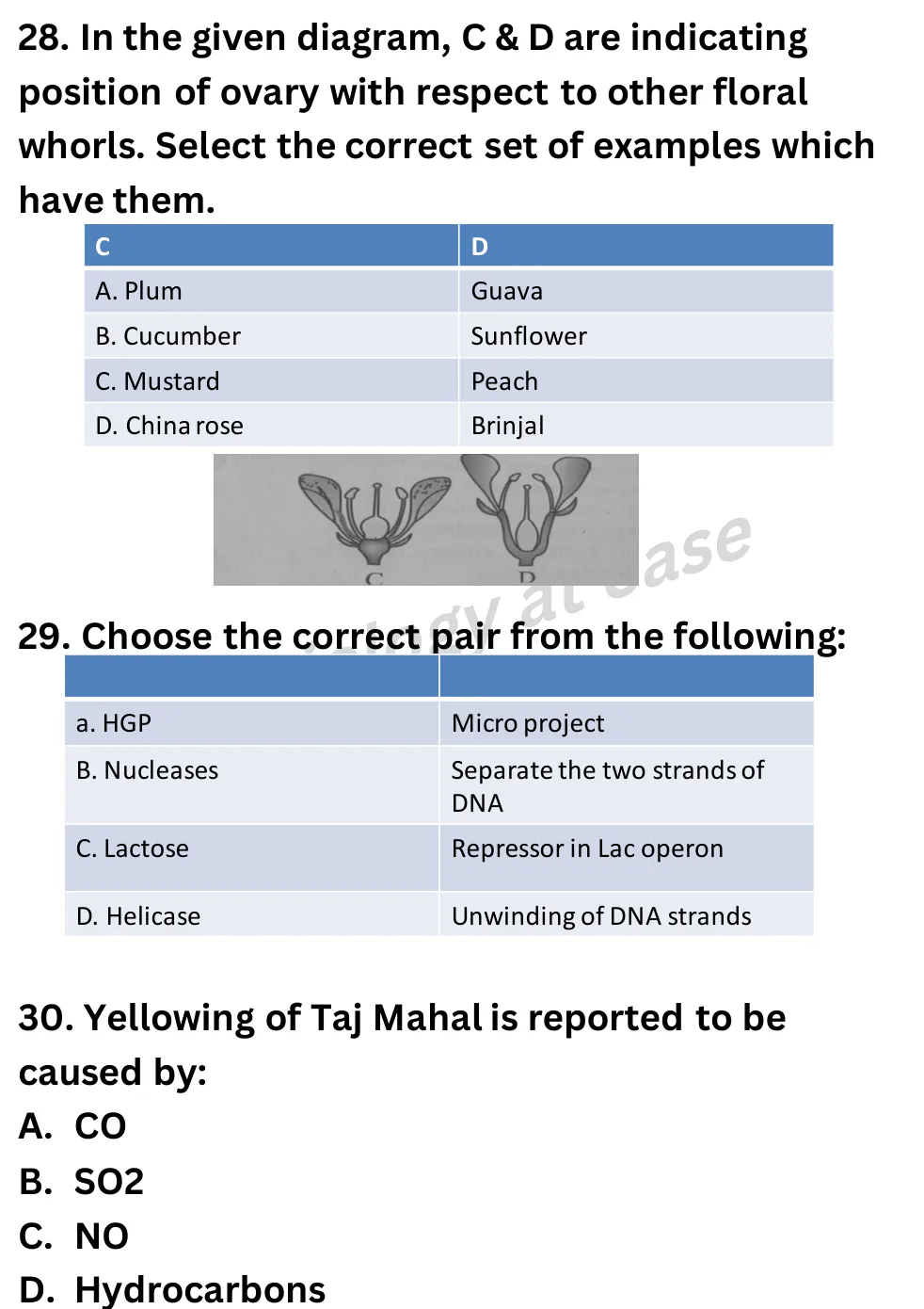 NEET Biology Full Mock 2 question sheet image 10