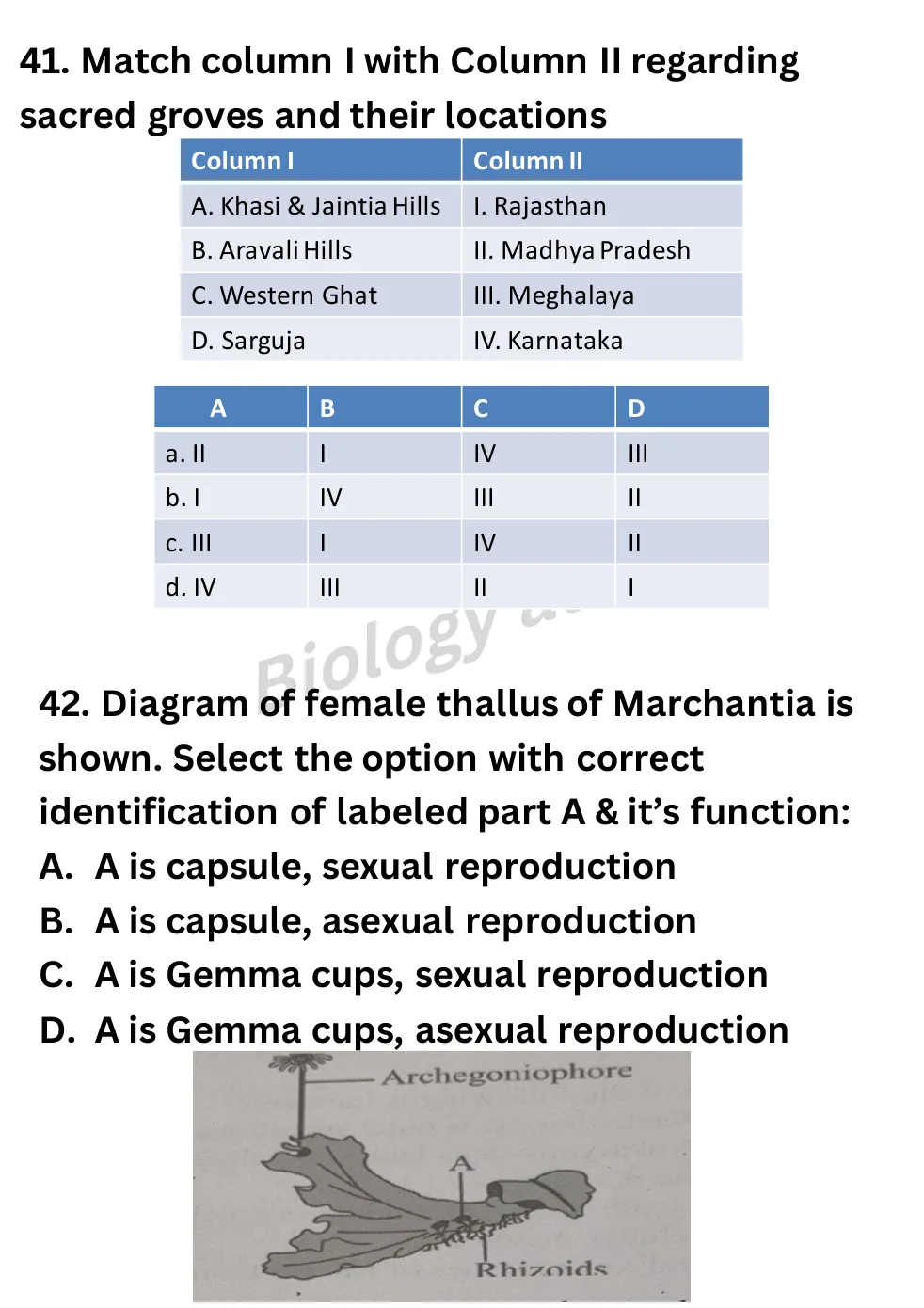 NEET Biology Full Mock 2 question sheet image 15