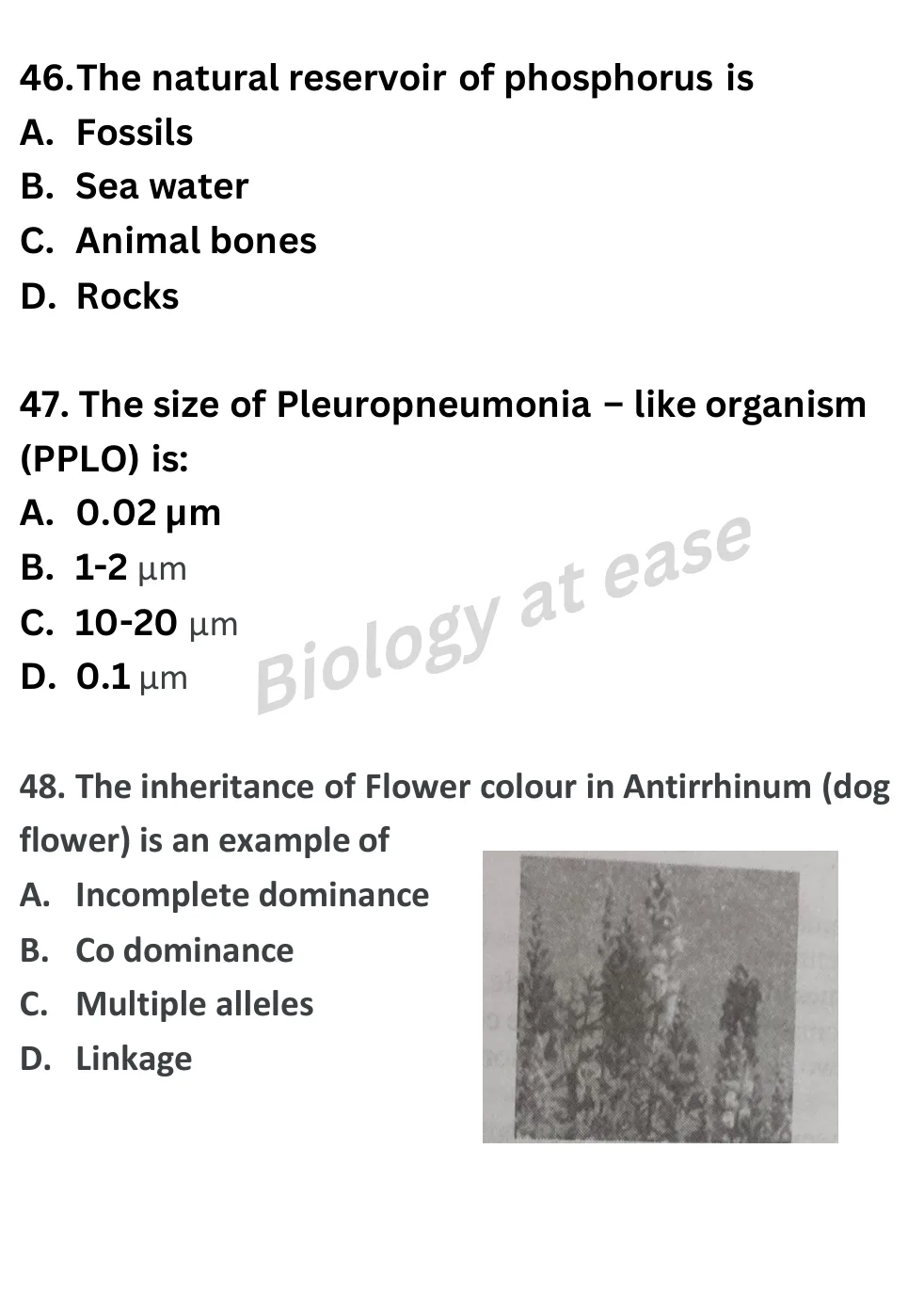 NEET Biology Full Mock 2 question sheet image 17