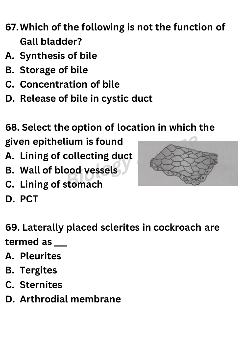 NEET Biology Full Mock 2 question sheet image 25
