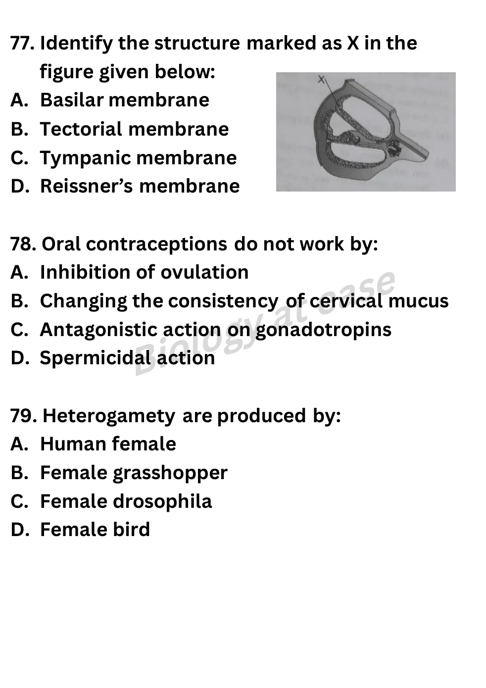 NEET Biology Full Mock 2 question sheet image 29