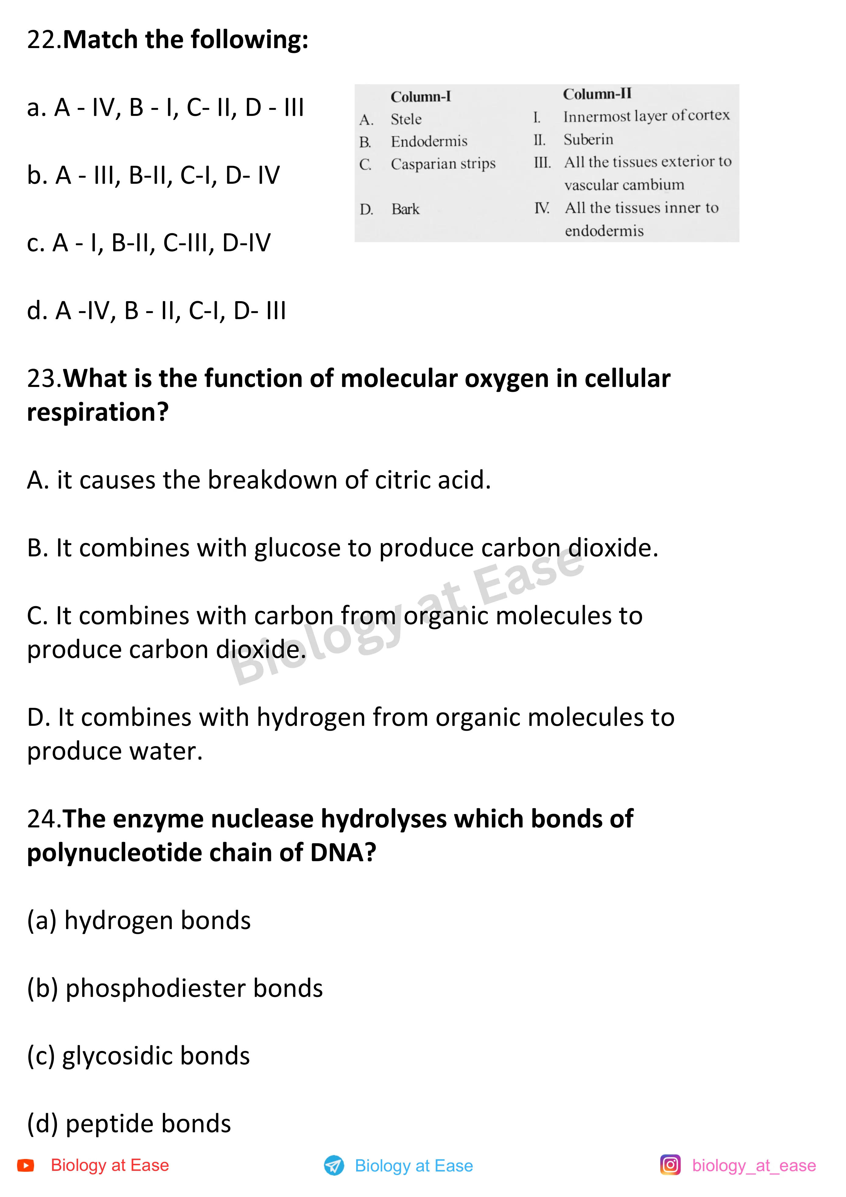 NEET Biology Full Mock 3 question sheet image 8