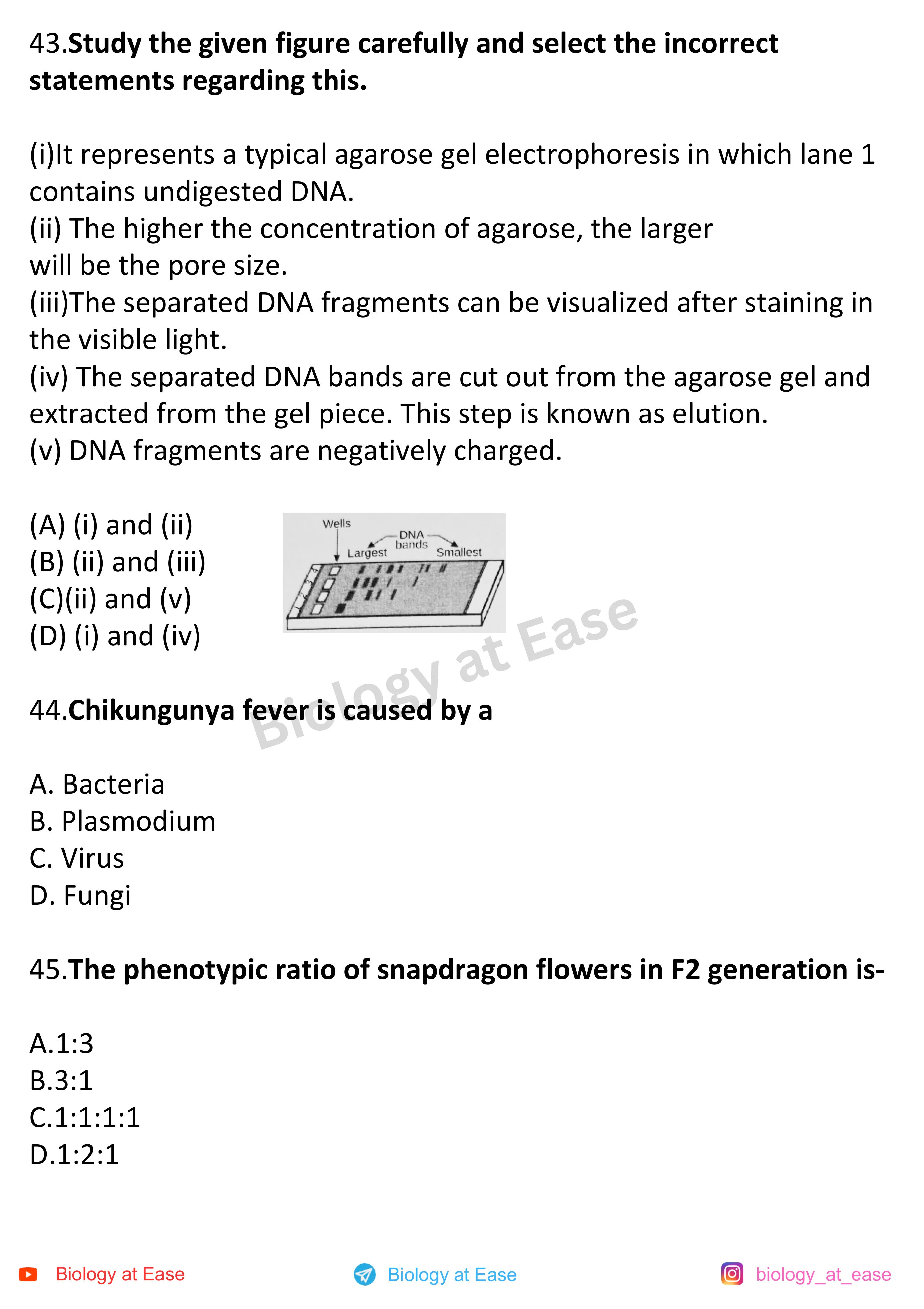 NEET Biology Full Mock 3 question sheet image 15