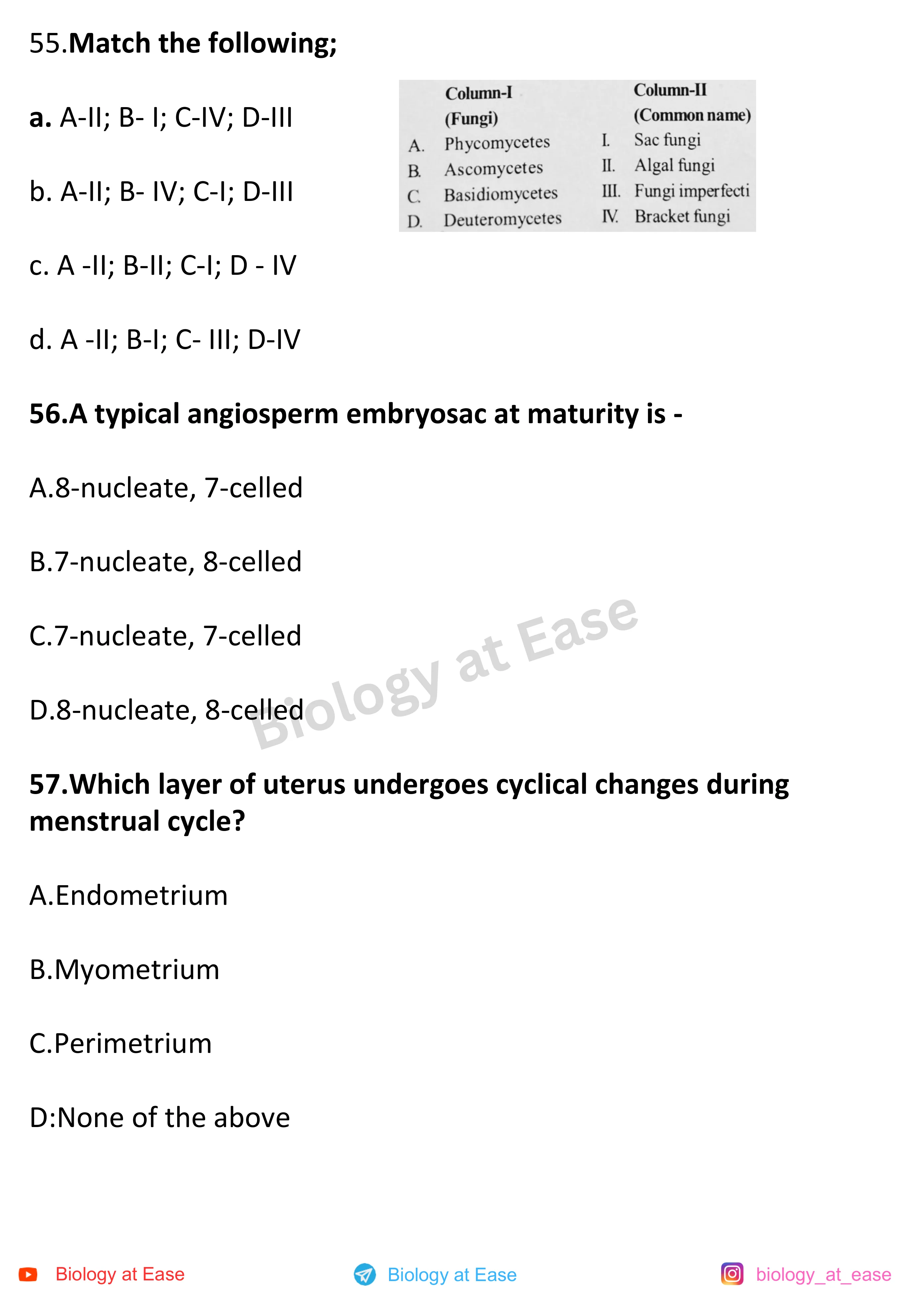 NEET Biology Full Mock 3 question sheet image 19