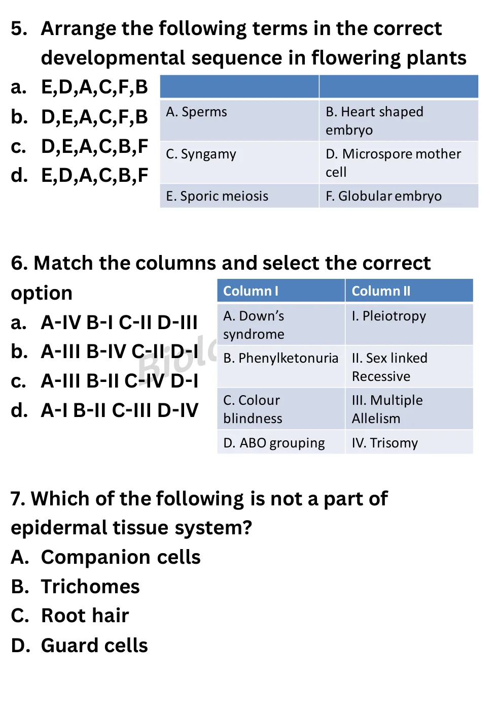 NEET Biology Full Mock 4 question sheet image 3