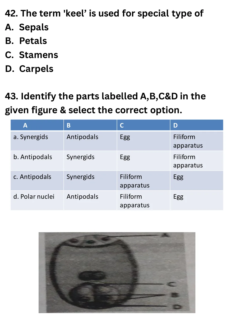 NEET Biology Full Mock 4 question sheet image 17
