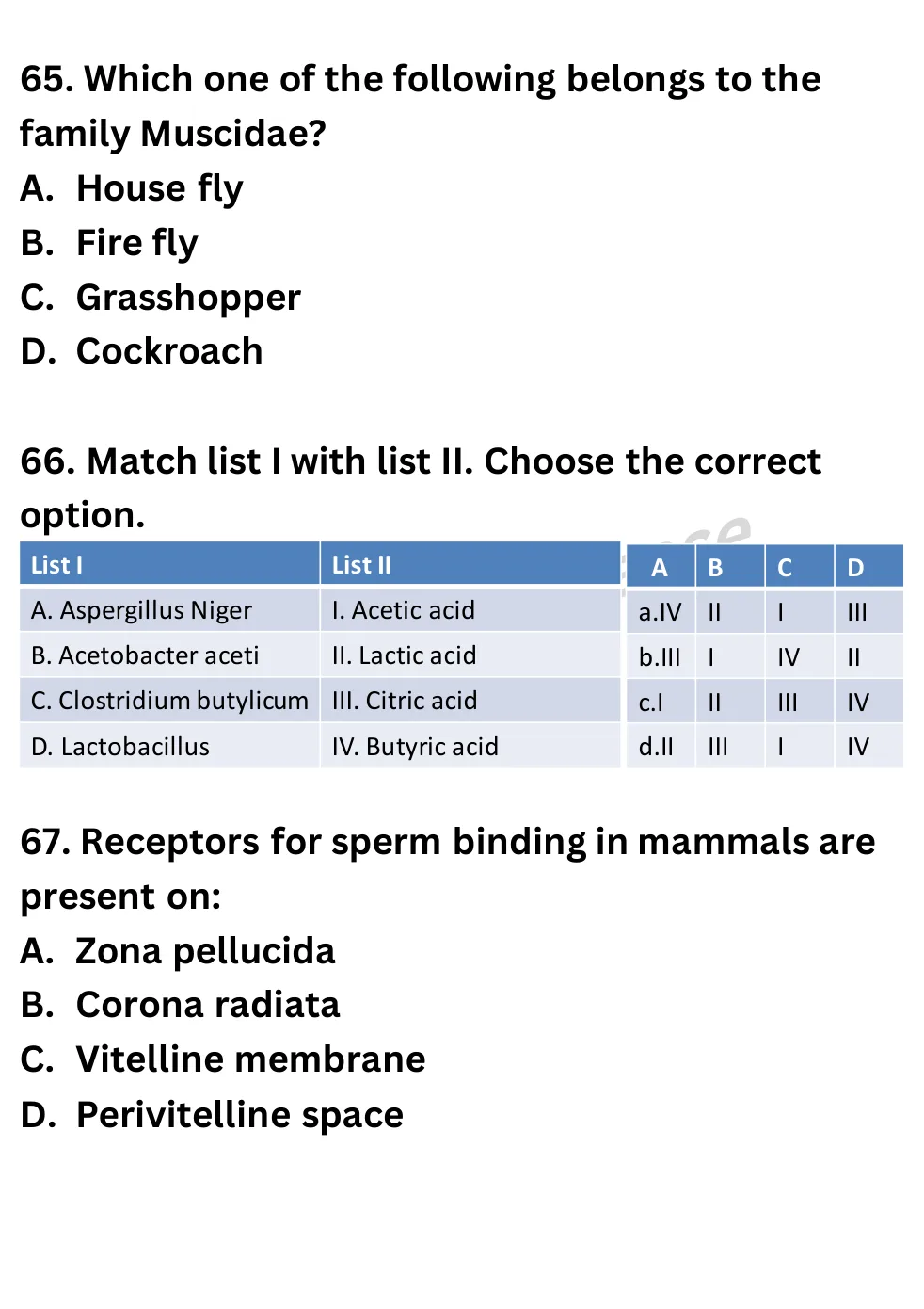 NEET Biology Full Mock 4 question sheet image 27