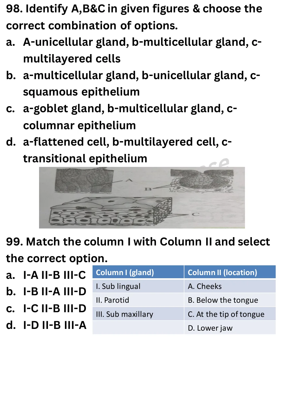 NEET Biology Full Mock 4 question sheet image 39
