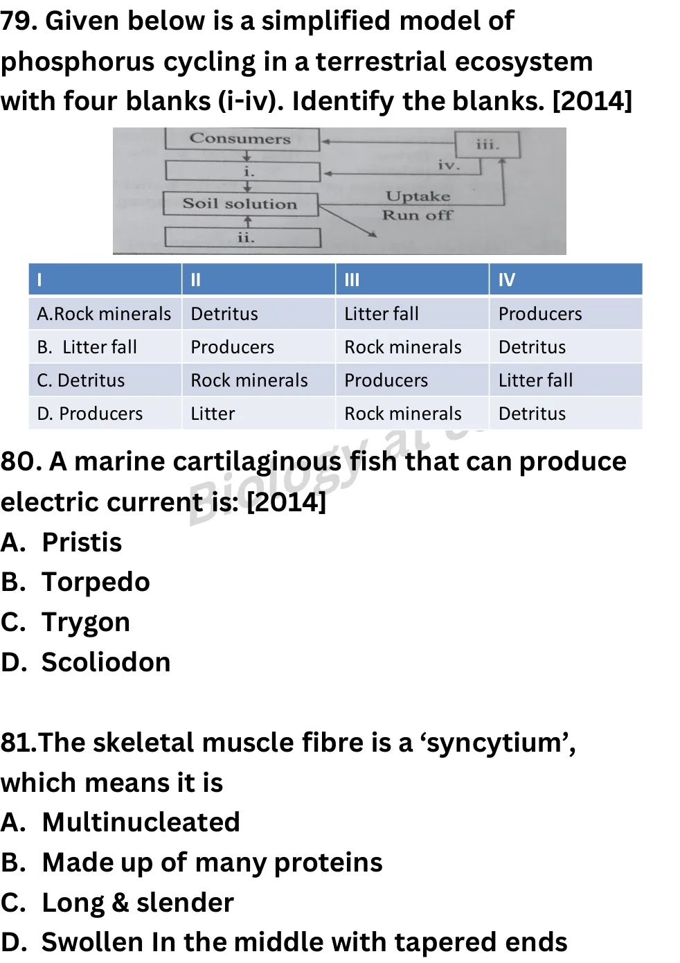 NEET Biology Full Mock 5 question sheet image 30