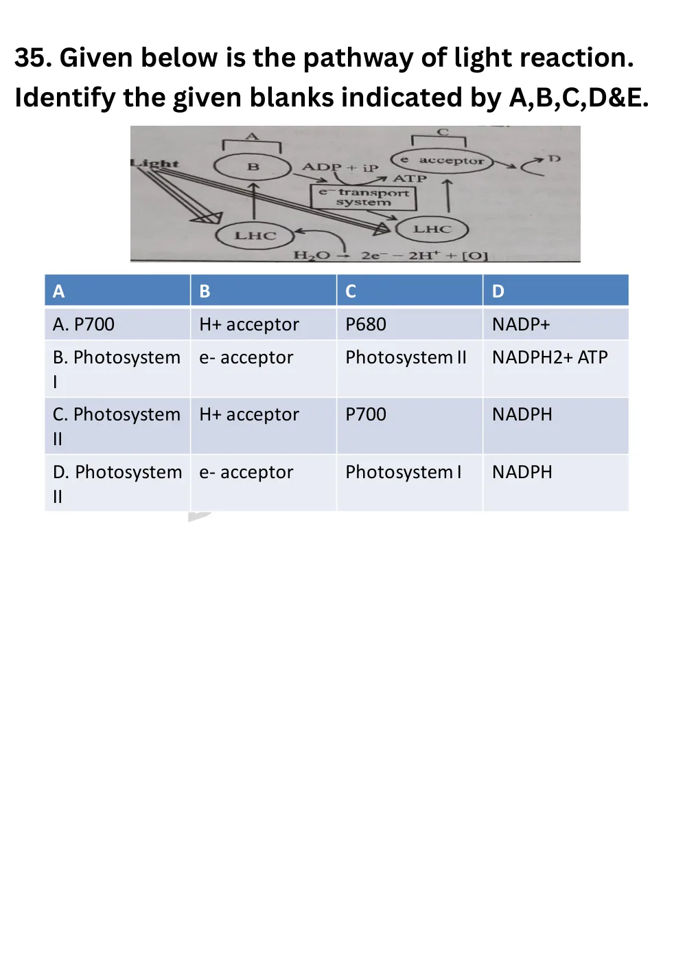 NEET Biology Full Mock 6 question sheet image 14
