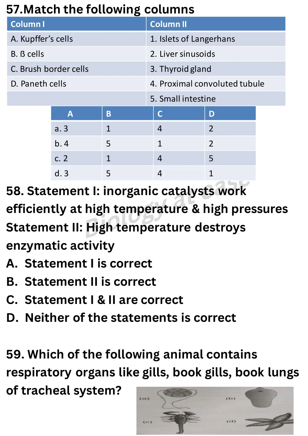 NEET Biology Full Mock 6 question sheet image 23