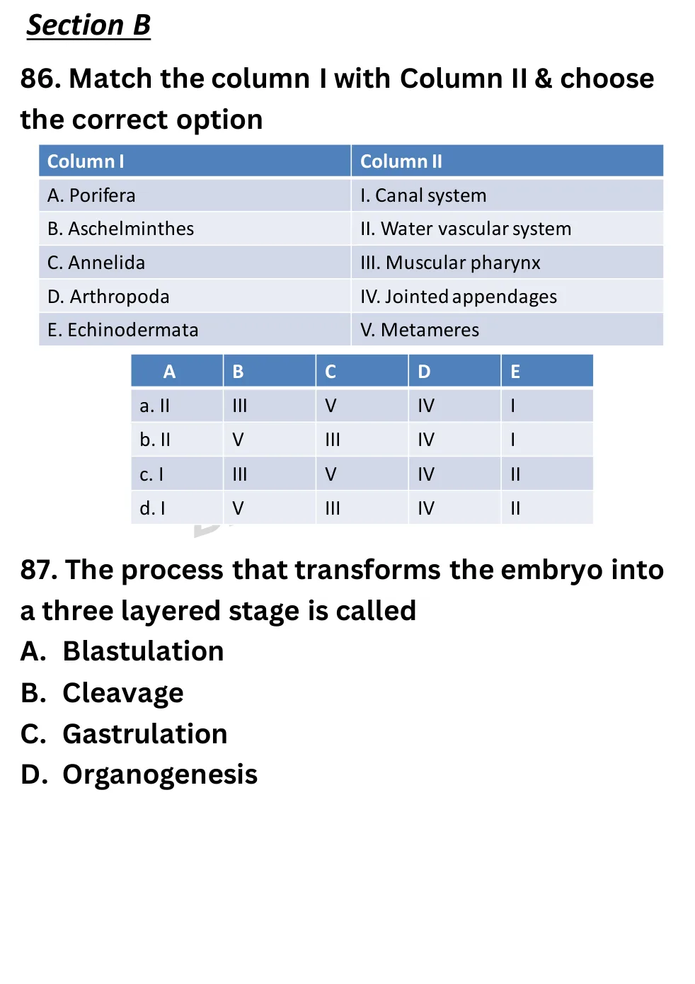 NEET Biology Full Mock 6 question sheet image 33