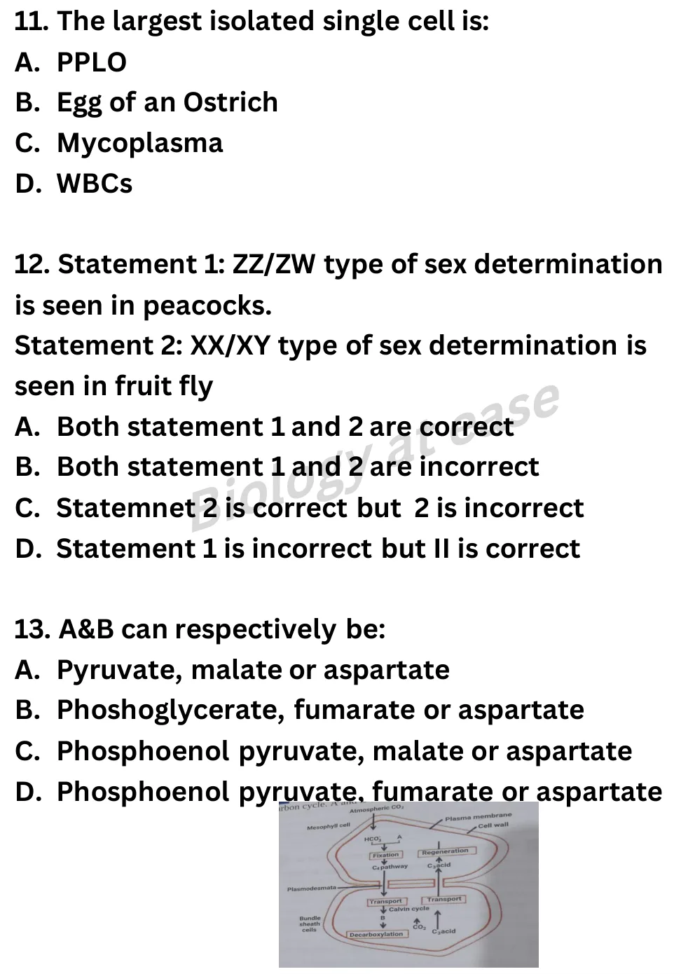 NEET Biology Full Mock 7 question sheet image 5