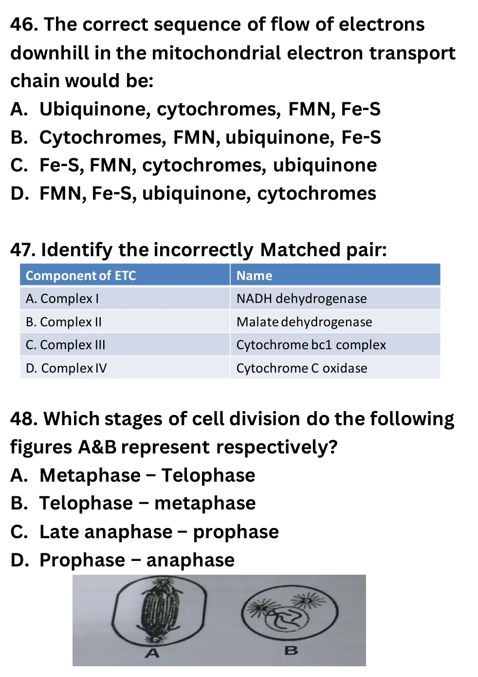 NEET Biology Full Mock 7 question sheet image 18