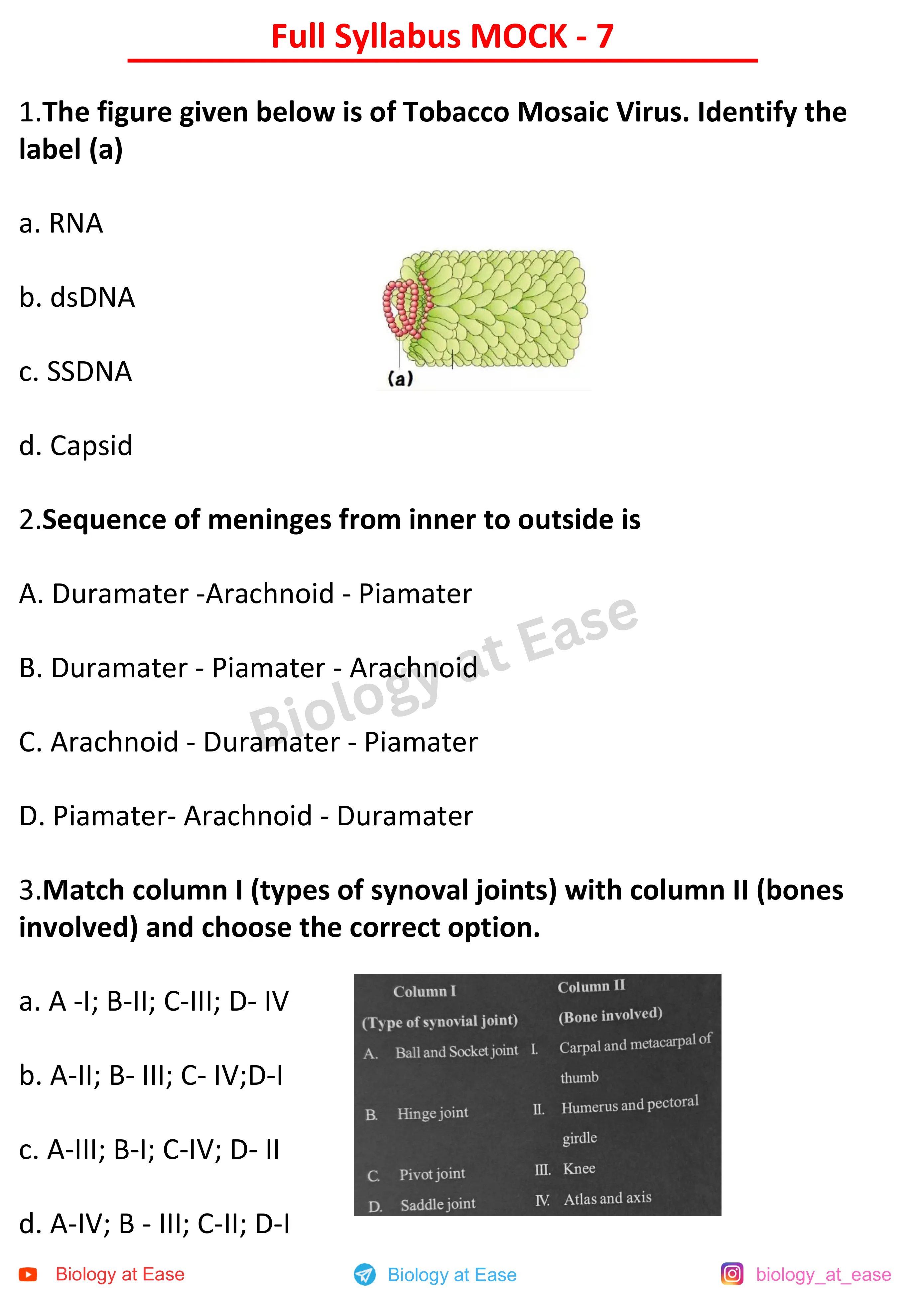 NEET Biology Full Mock question sheet image 1