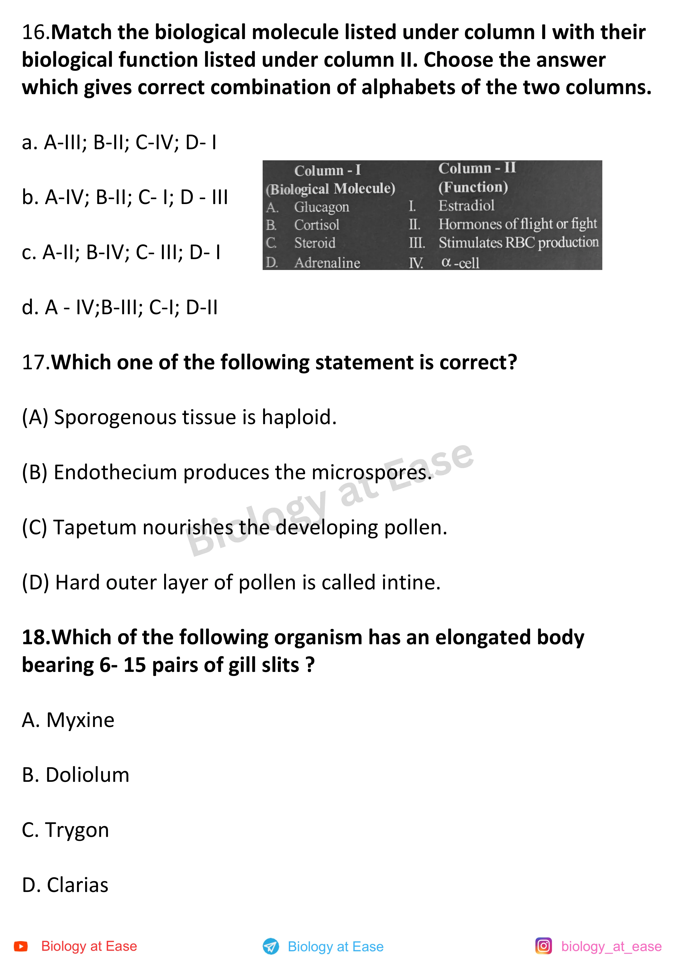 NEET Biology Full Mock question sheet image 6