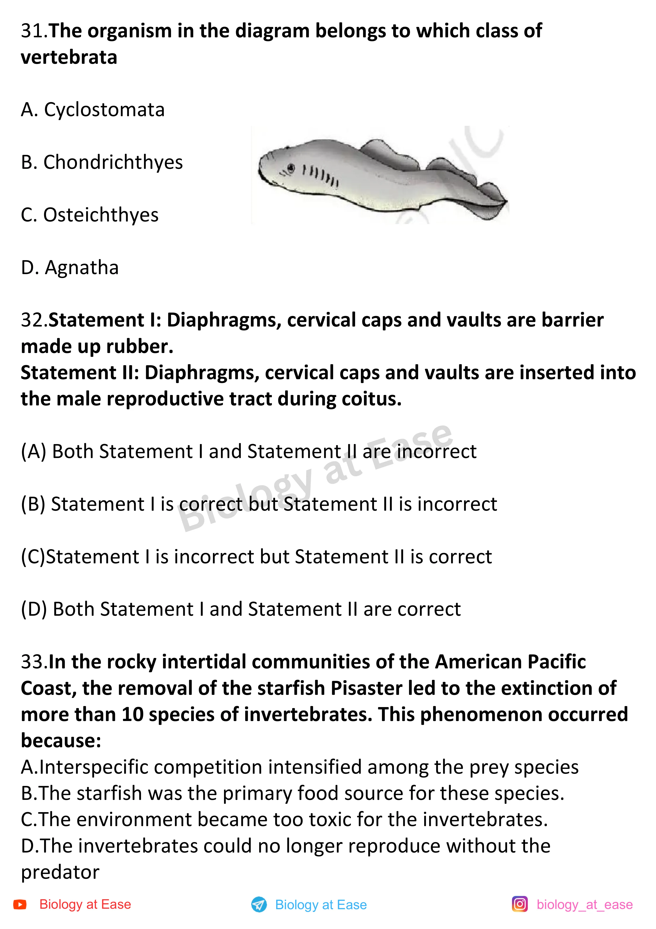 NEET Biology Full Mock question sheet image 11