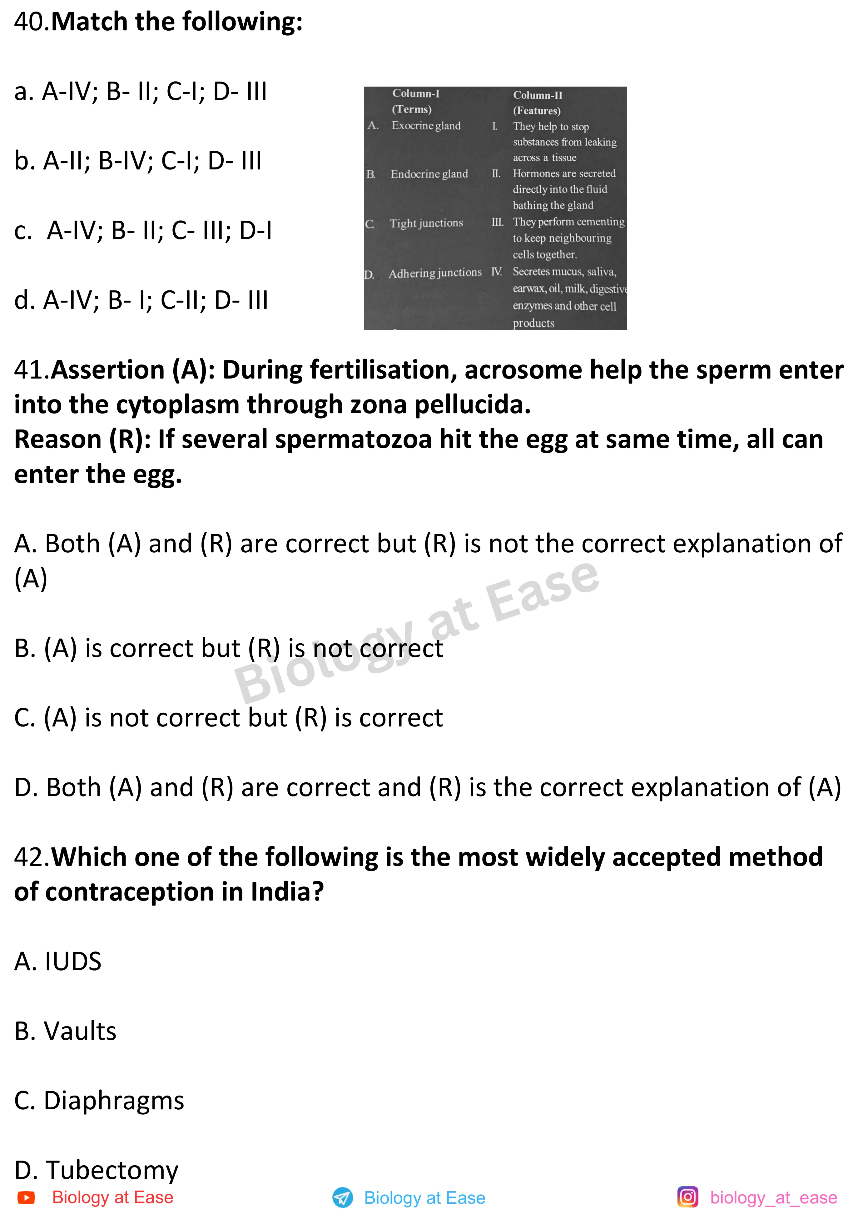 NEET Biology Full Mock question sheet image 14