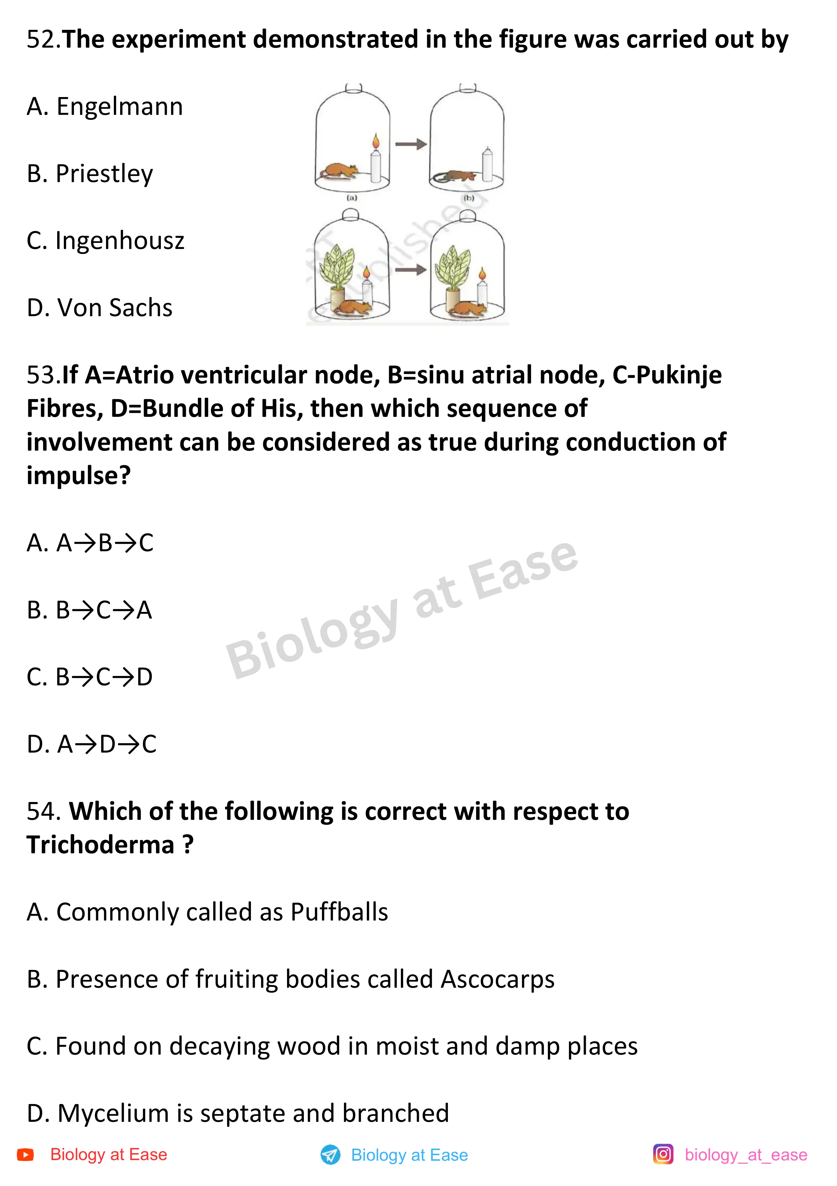 NEET Biology Full Mock question sheet image 18