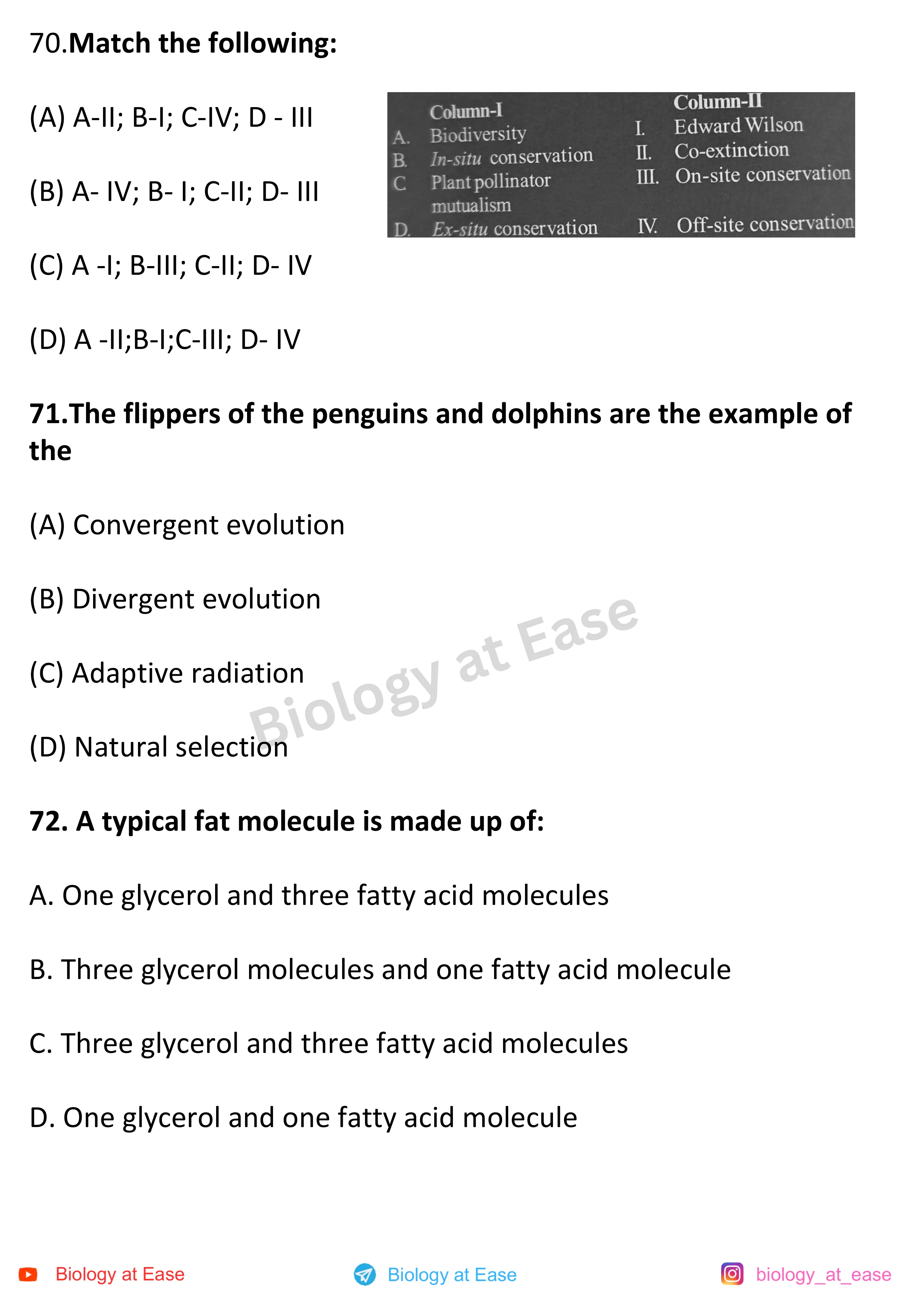 NEET Biology Full Mock question sheet image 24