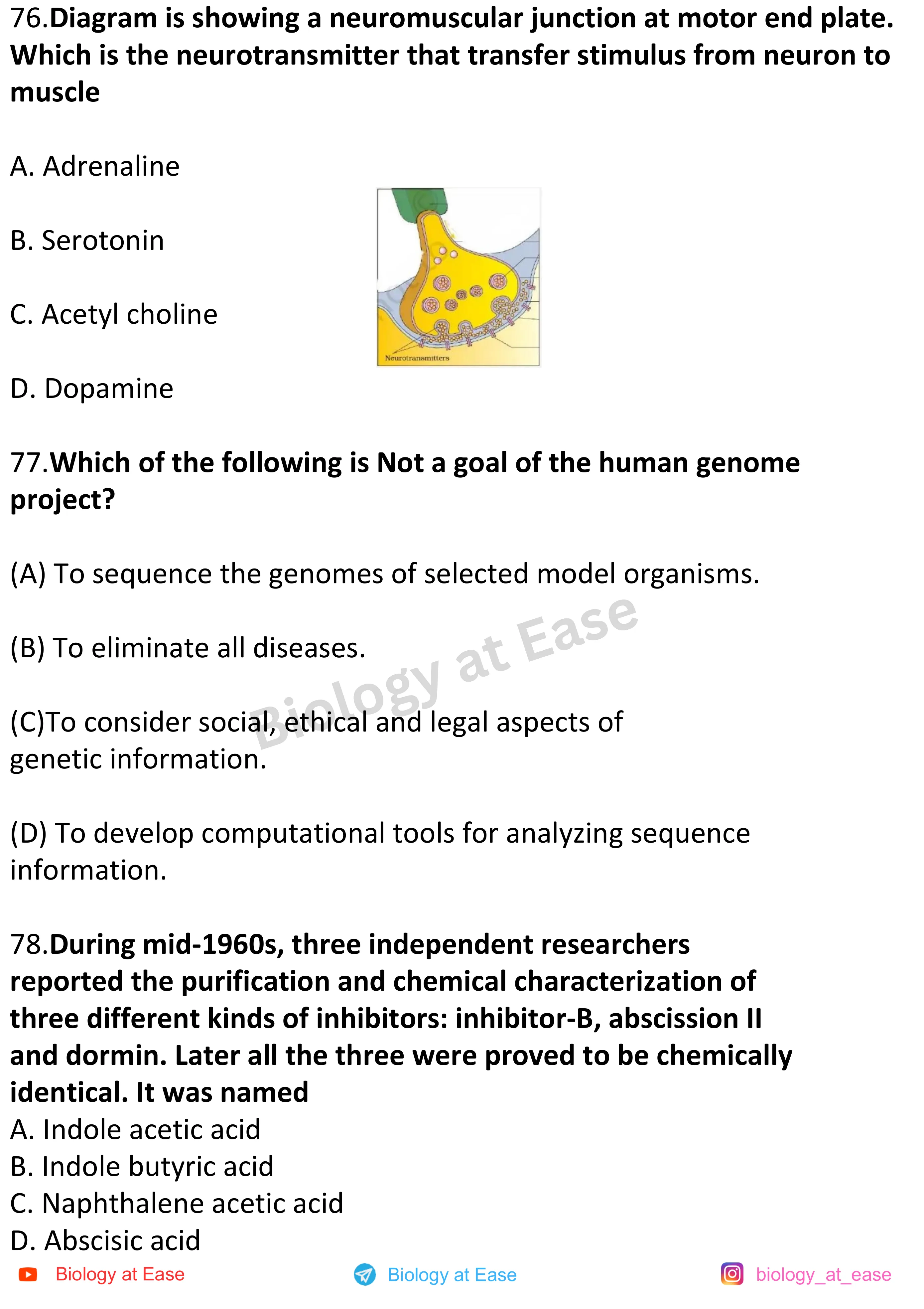 NEET Biology Full Mock question sheet image 26