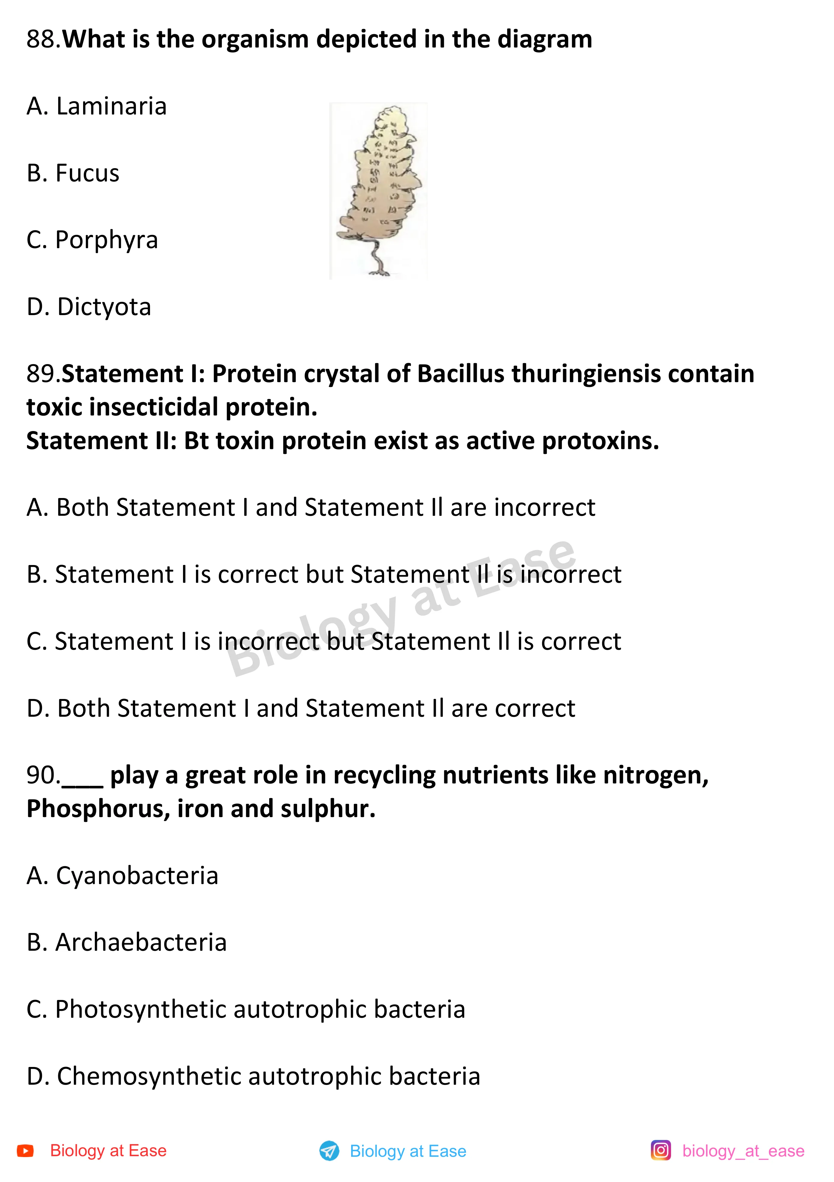 NEET Biology Full Mock question sheet image 30