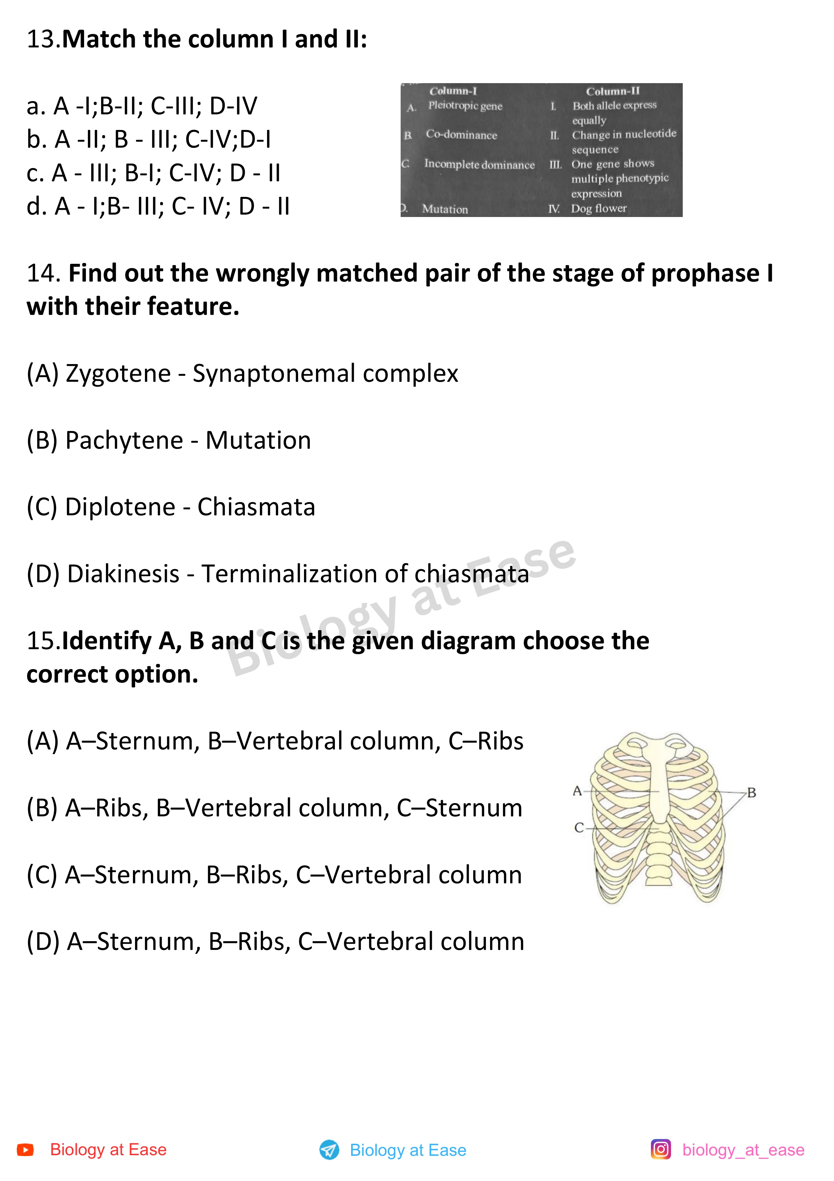 NEET Biology Full Syllabus Mock question sheet image 5