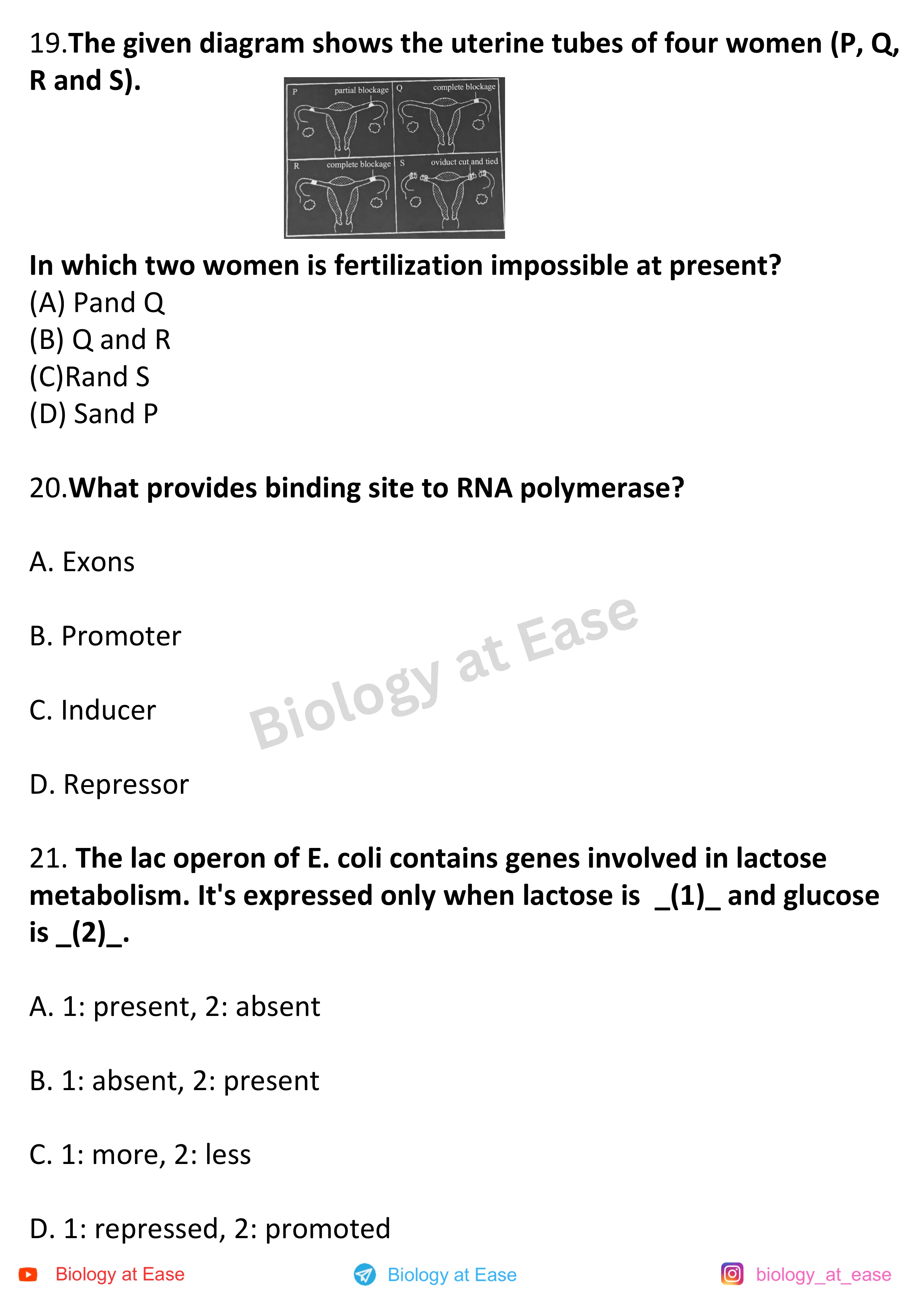 NEET Biology Full Syllabus Mock question sheet image 7