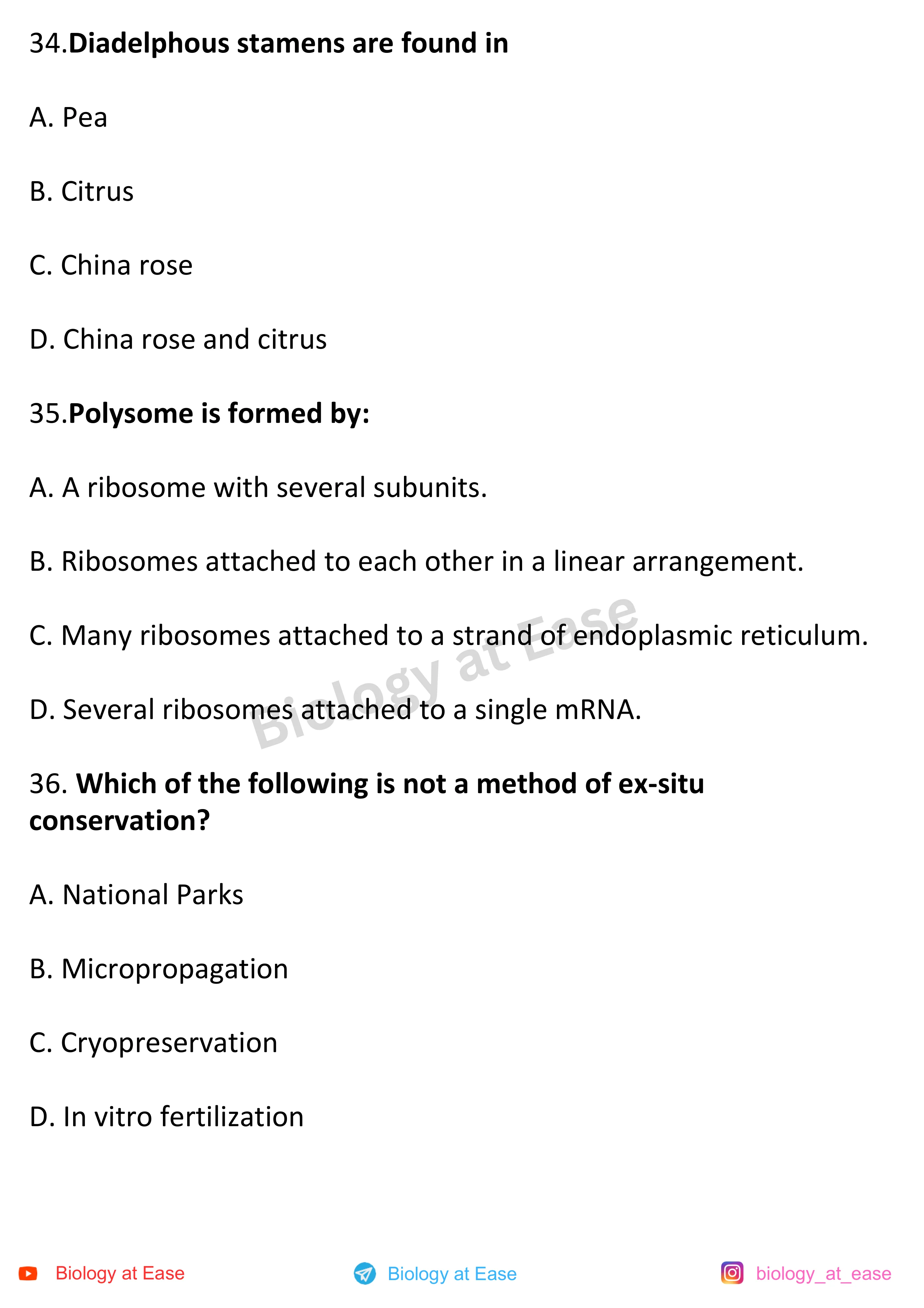 NEET Biology Full Syllabus Mock question sheet image 12