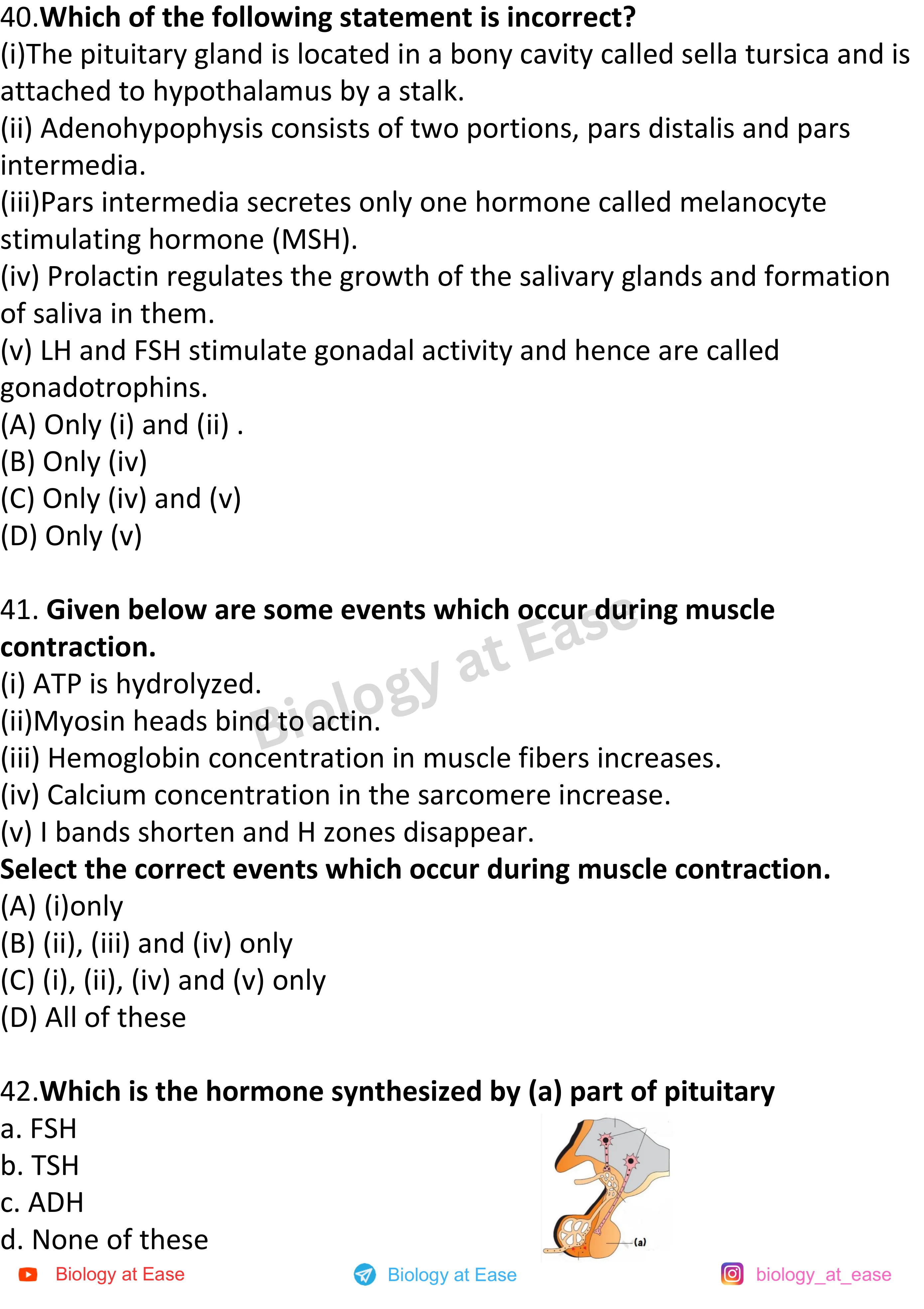 NEET Biology Full Syllabus Mock question sheet image 14