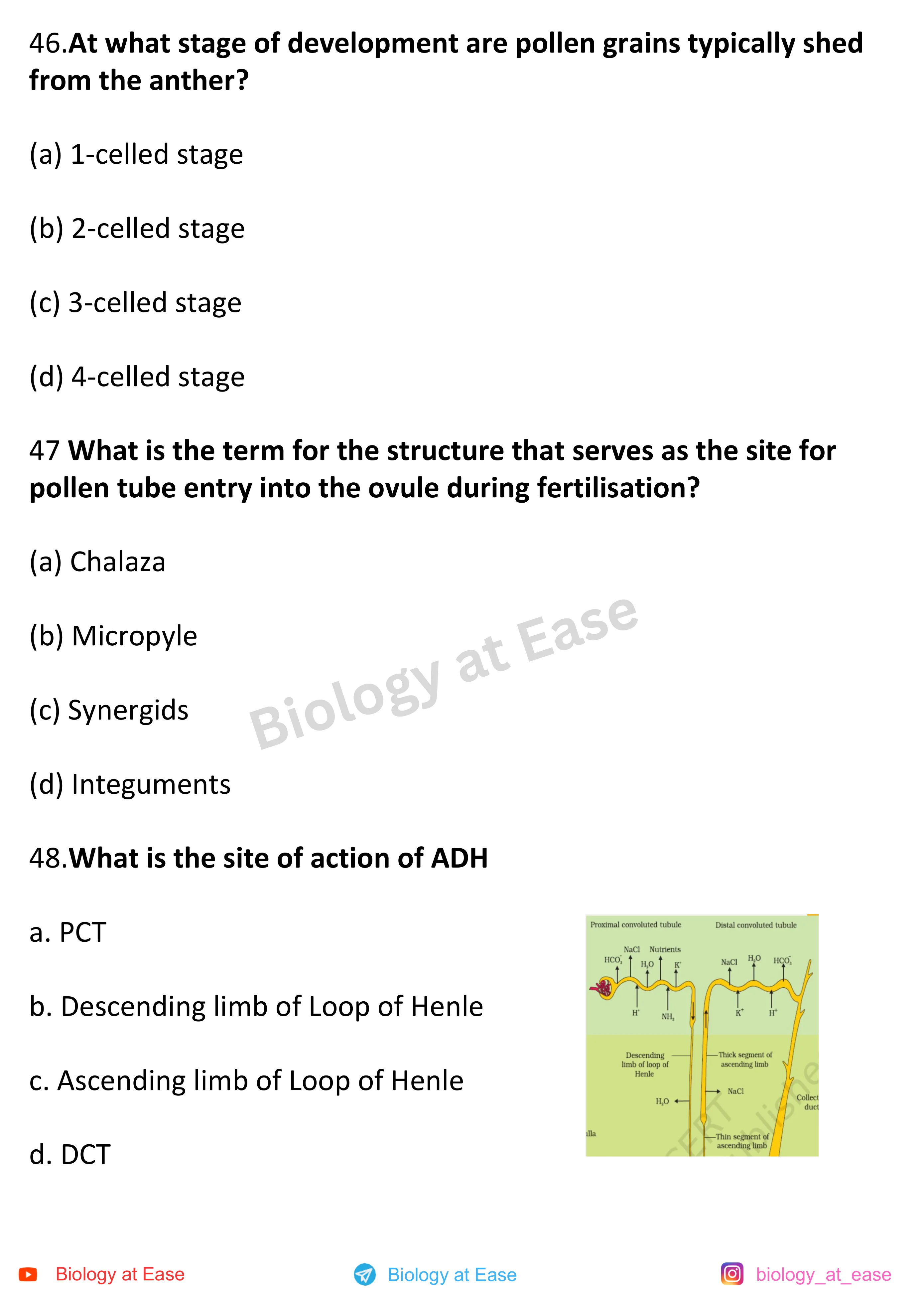 NEET Biology Full Syllabus Mock question sheet image 16
