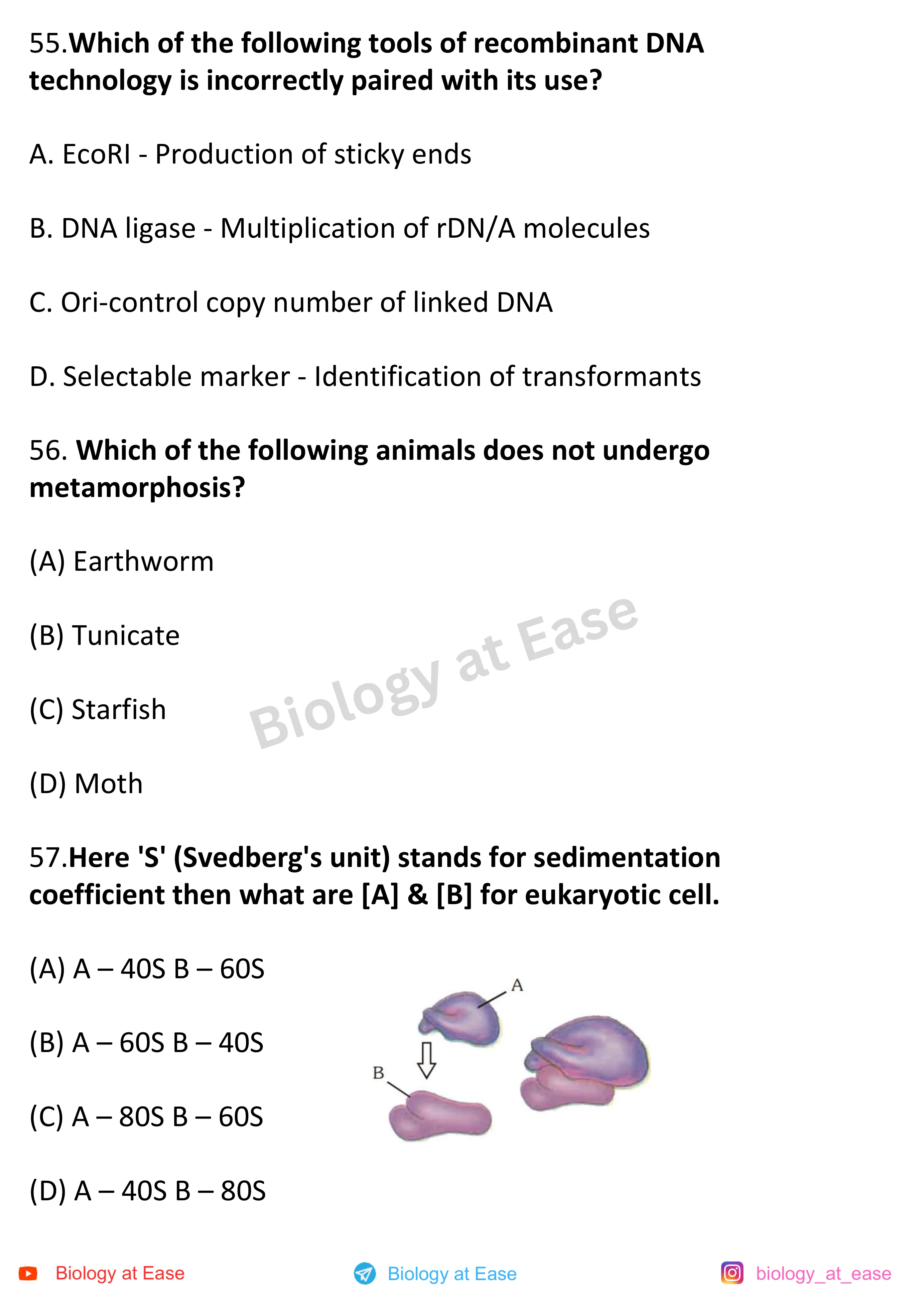 NEET Biology Full Syllabus Mock question sheet image 19